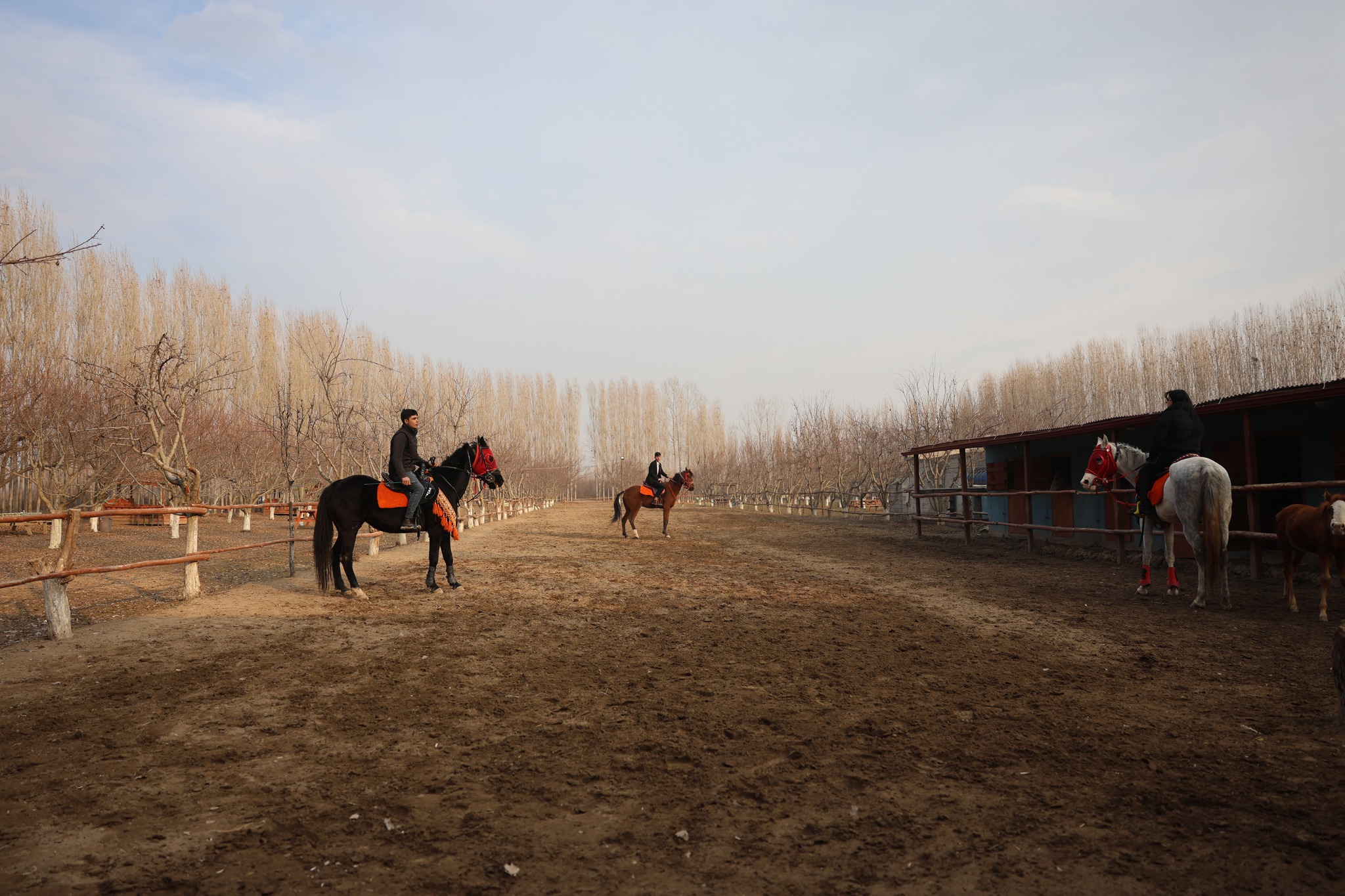 604746064 1344074824415259 2780760926356654497 N