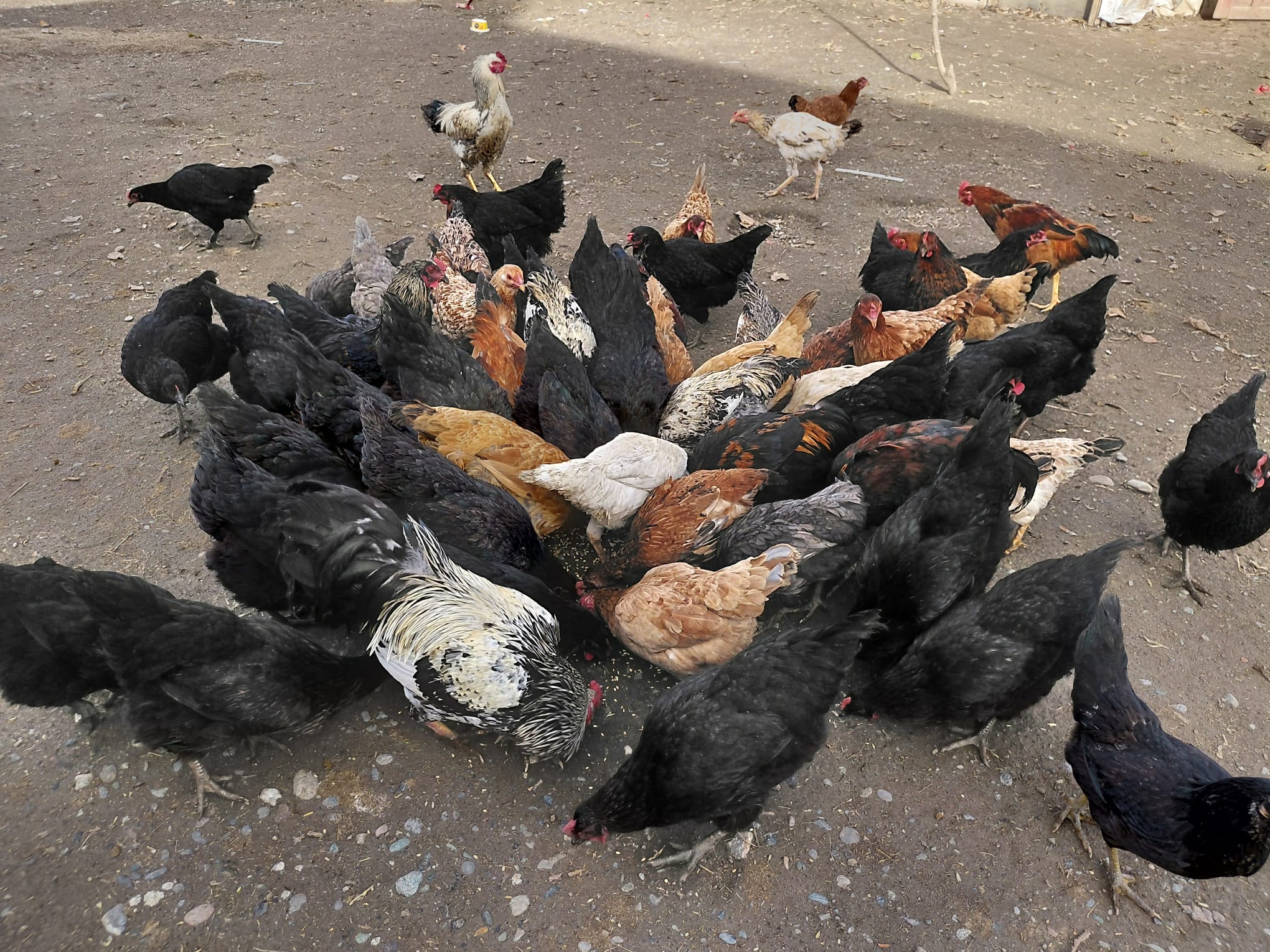 647F5967 47Df 4276 883A 182C0884Eb47