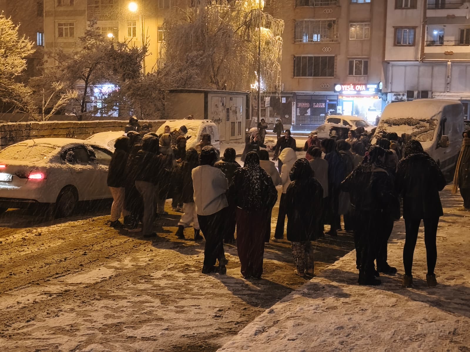 720Bf697 Ef00 428B 9600 291214Fc9Aa7