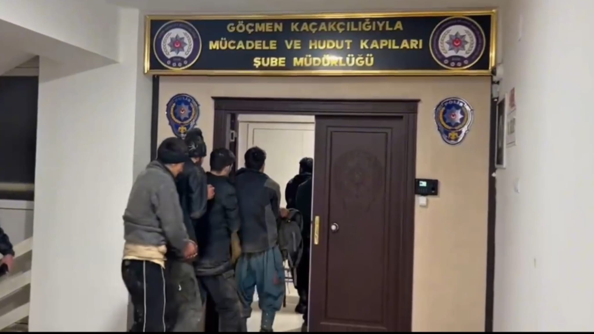 72C4D3B6 048B 4Ab4 9988 89B9B459Cc56-1