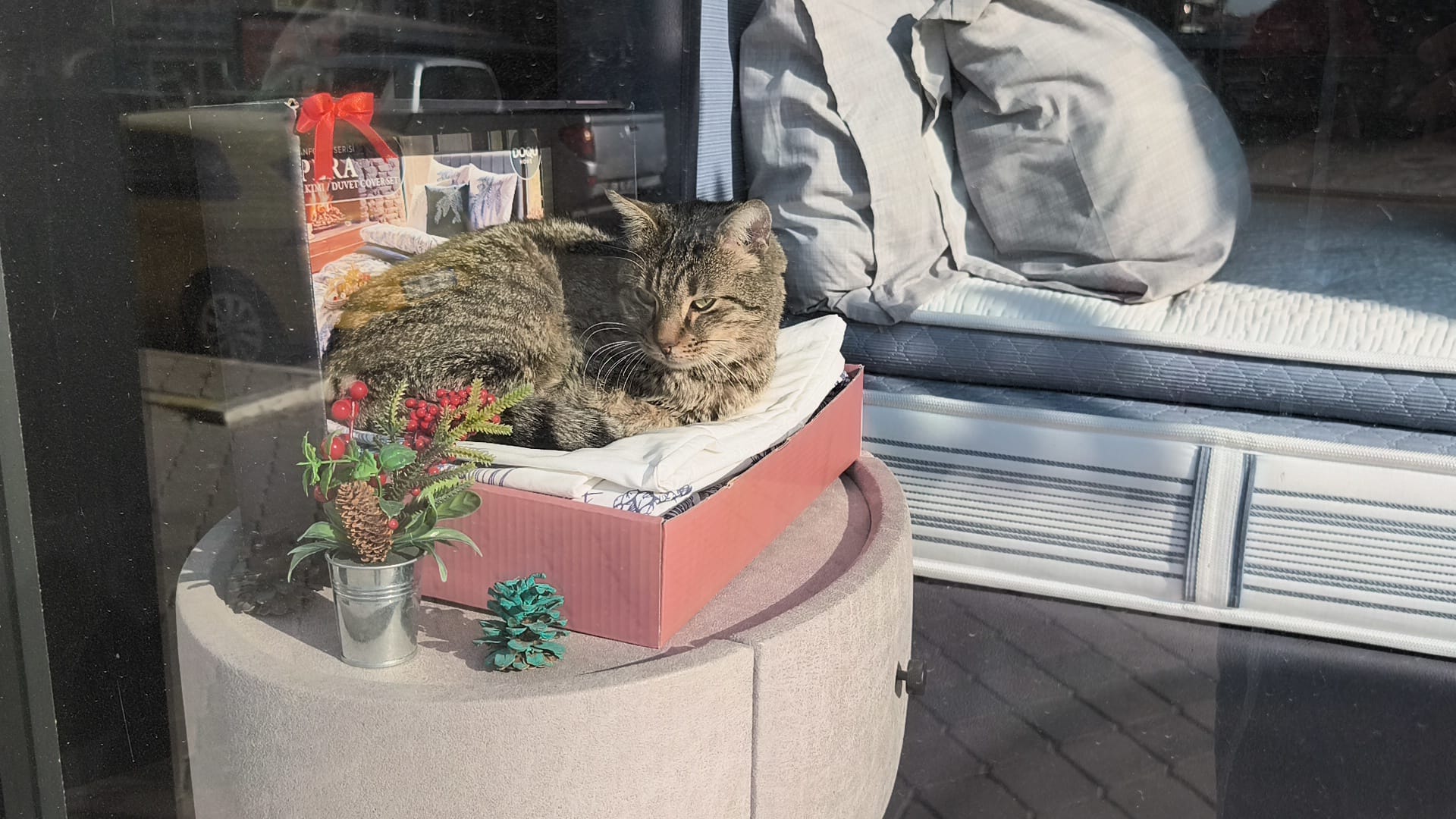 927D78Db Df6D 4D67 A7De Cacecdef8A9C