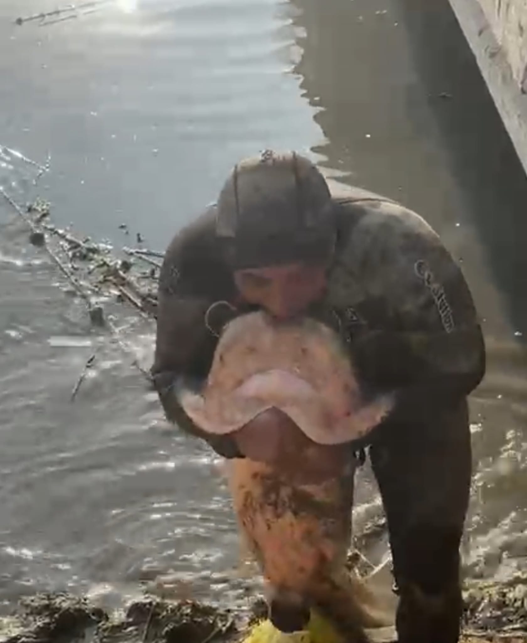 95Df2Ffe Fb70 4E4A Bfc7 43E3608991B3