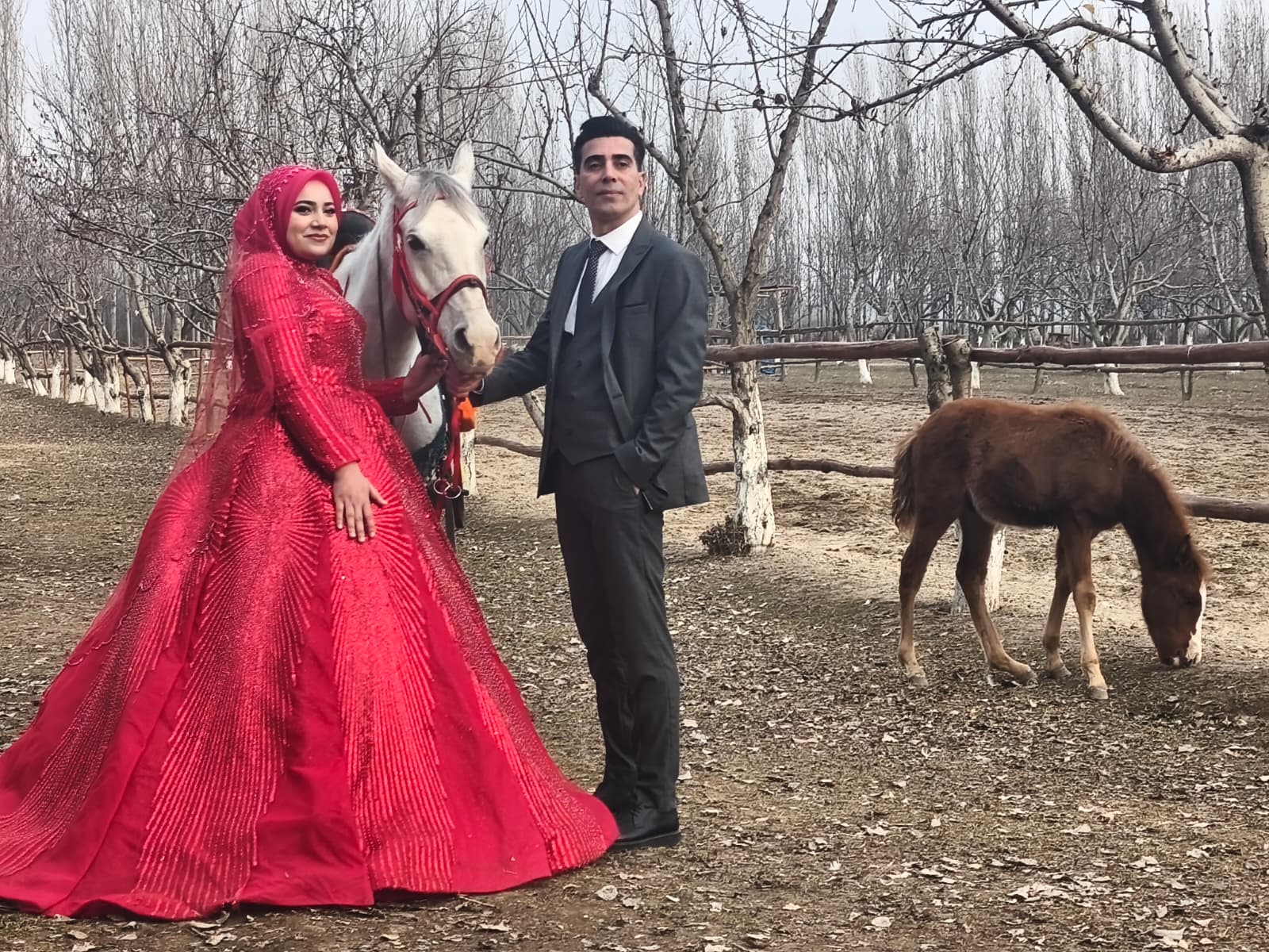 B0396135 8B0B 47F1 829A 01Bd9187Ade6