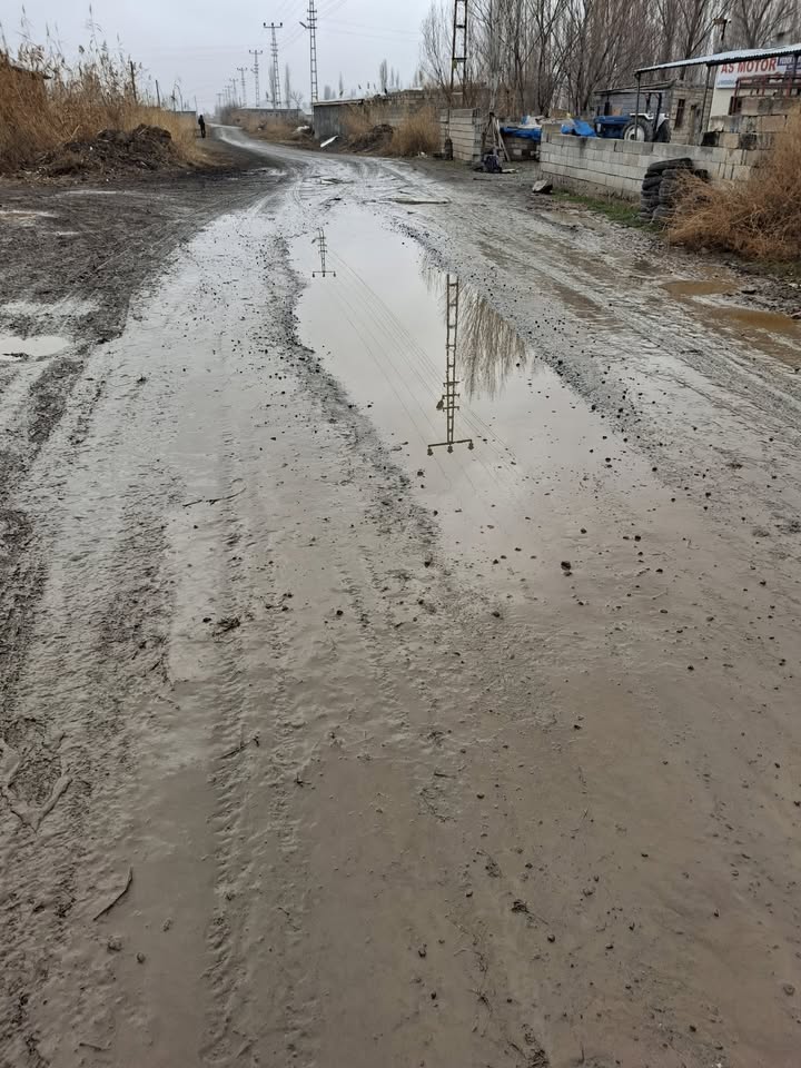 Bdb6F686 Fd5A 4Fce 8C0E F181A23239D1