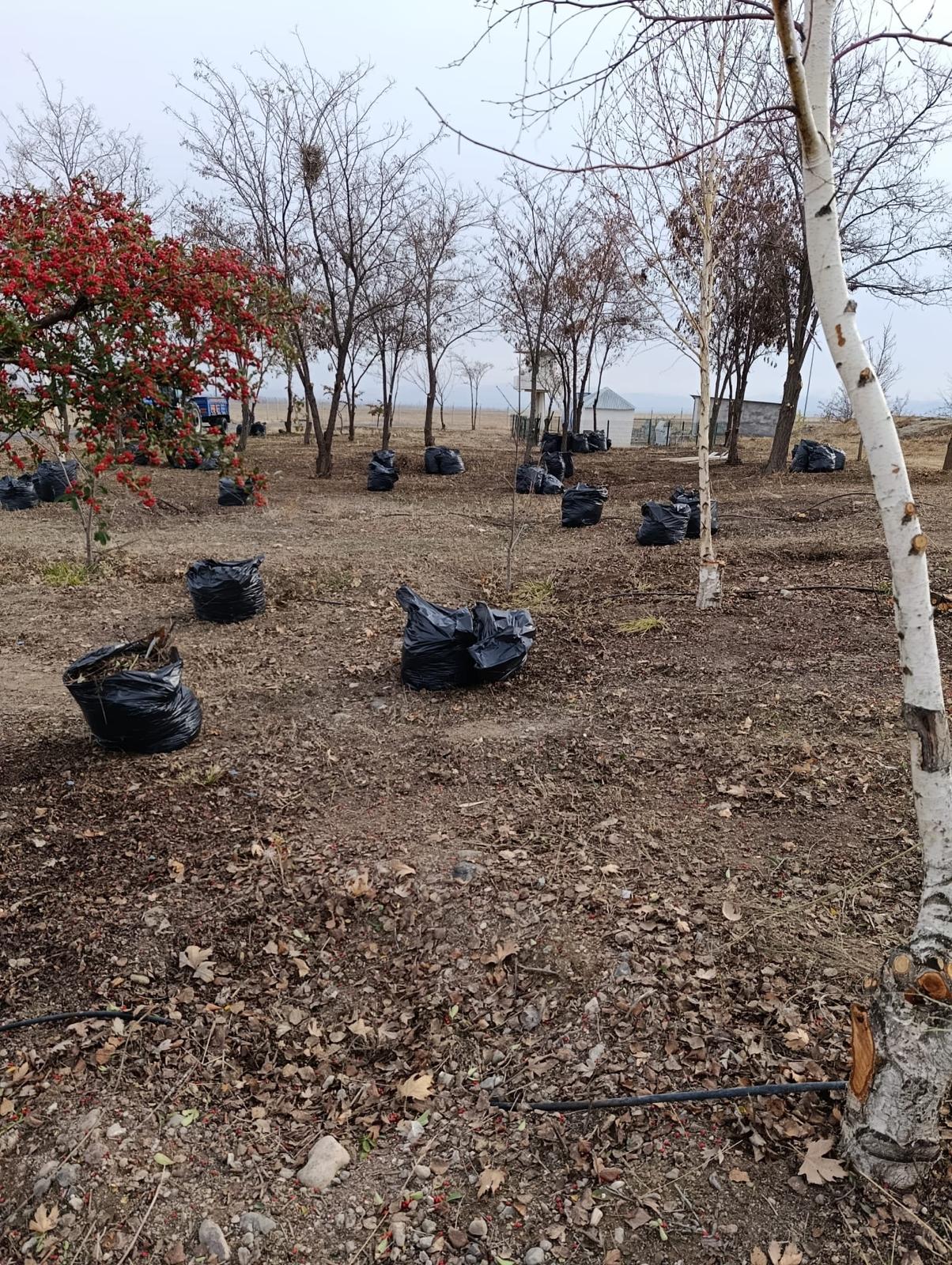 C19788C9 A403 411C 8E92 De71C4Ef1214