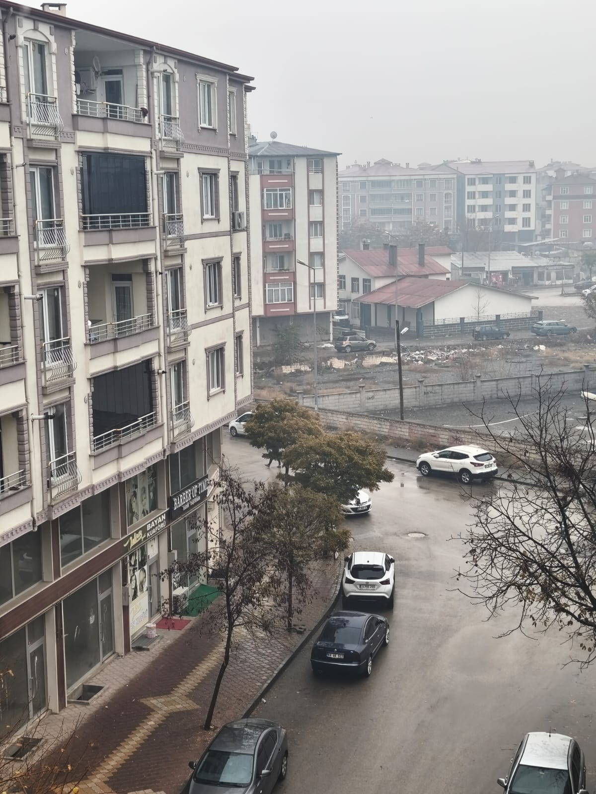 C84E37F2 Cc05 4706 Aac7 Fb8Fbff52B01