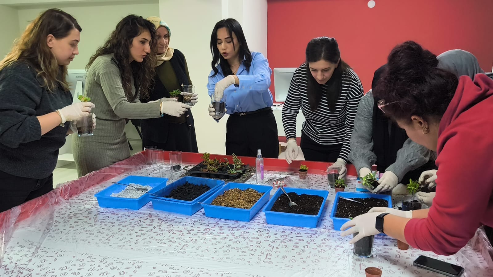 D2D7Ba8C Daf4 4Ea4 Bcc3 8Edc0B630C1F