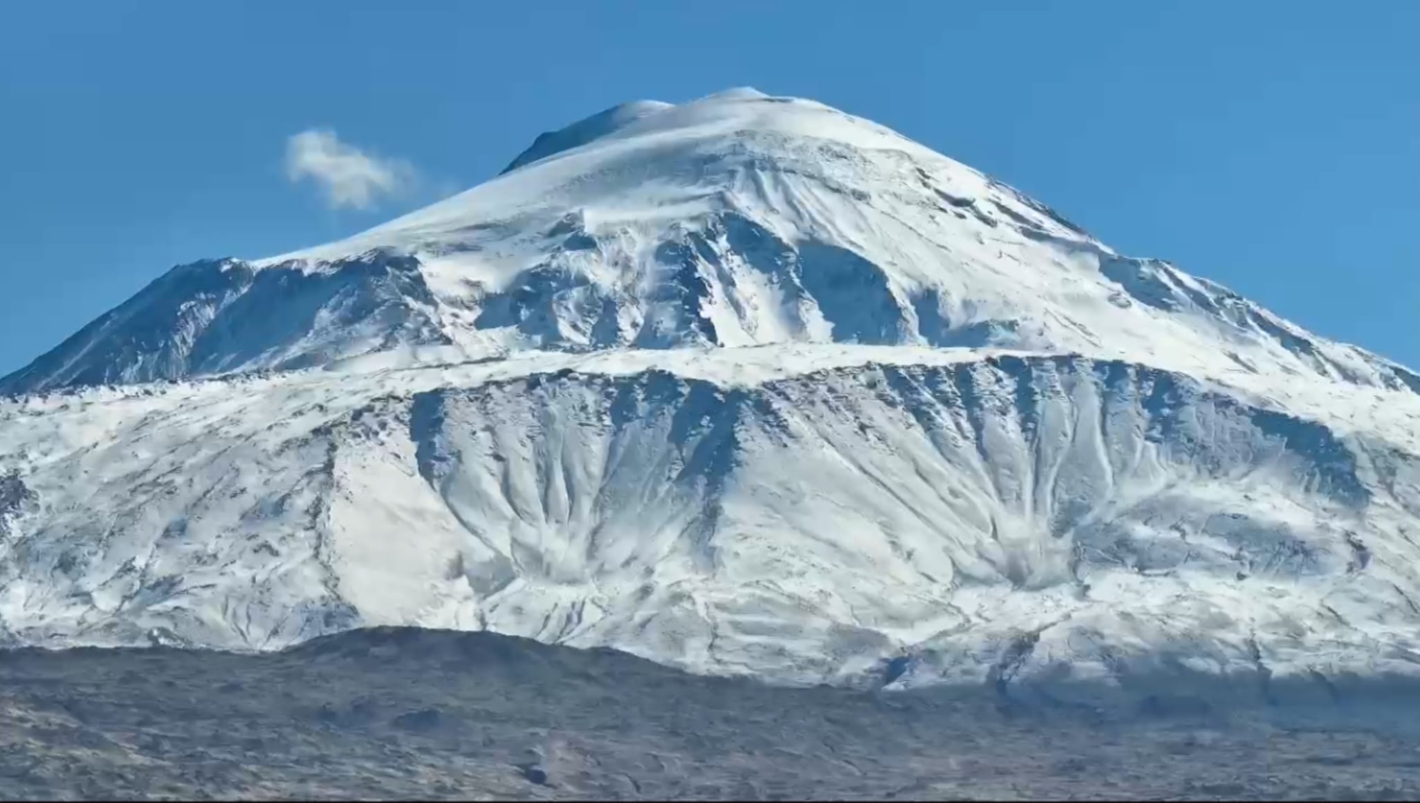 D42205Df 54A3 4648 Aabb 18D1Bac0A942