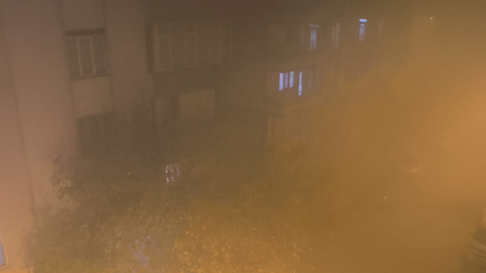 F5Ecace9 7E8C 4092 B785 Dcd26439D51E