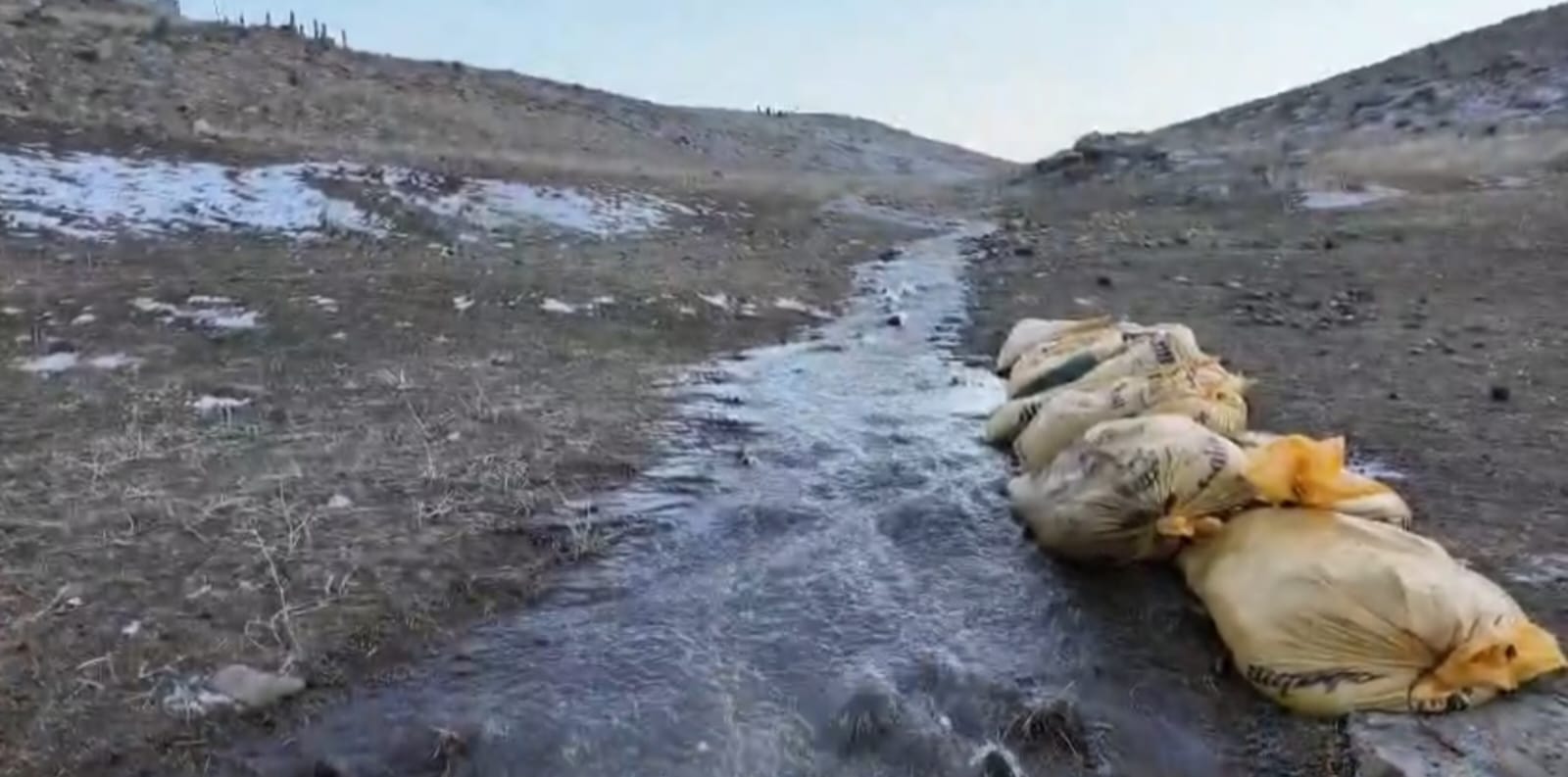 Fe5B25Bc 91Fc 4835 Ae55 151A8C828E70