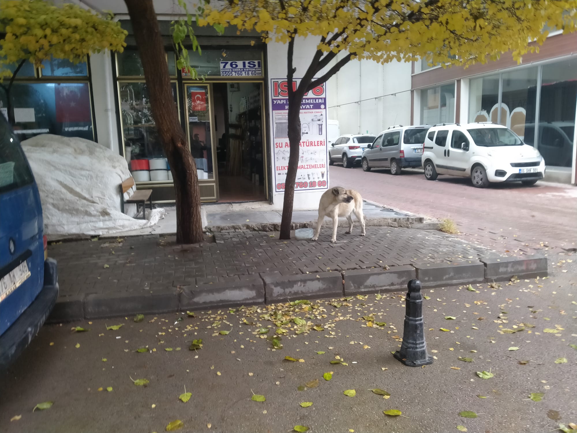 0D08F0Cd 6366 4Abc 94E4 7A6Eb5Da99F9