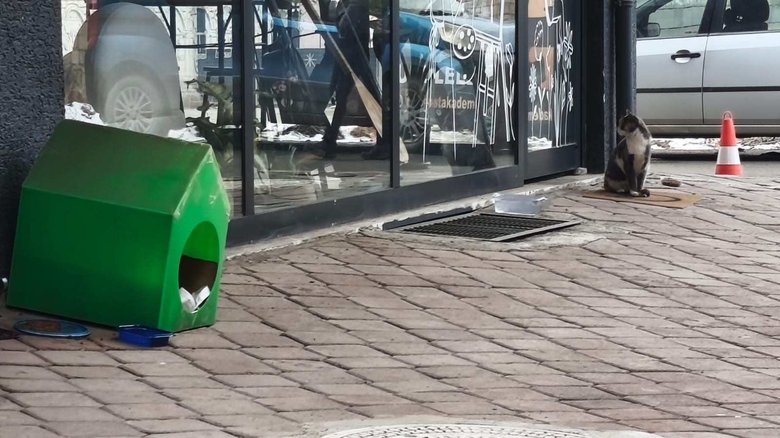 1C4C0A0B 5377 43E4 B304 4Cec241Afd95