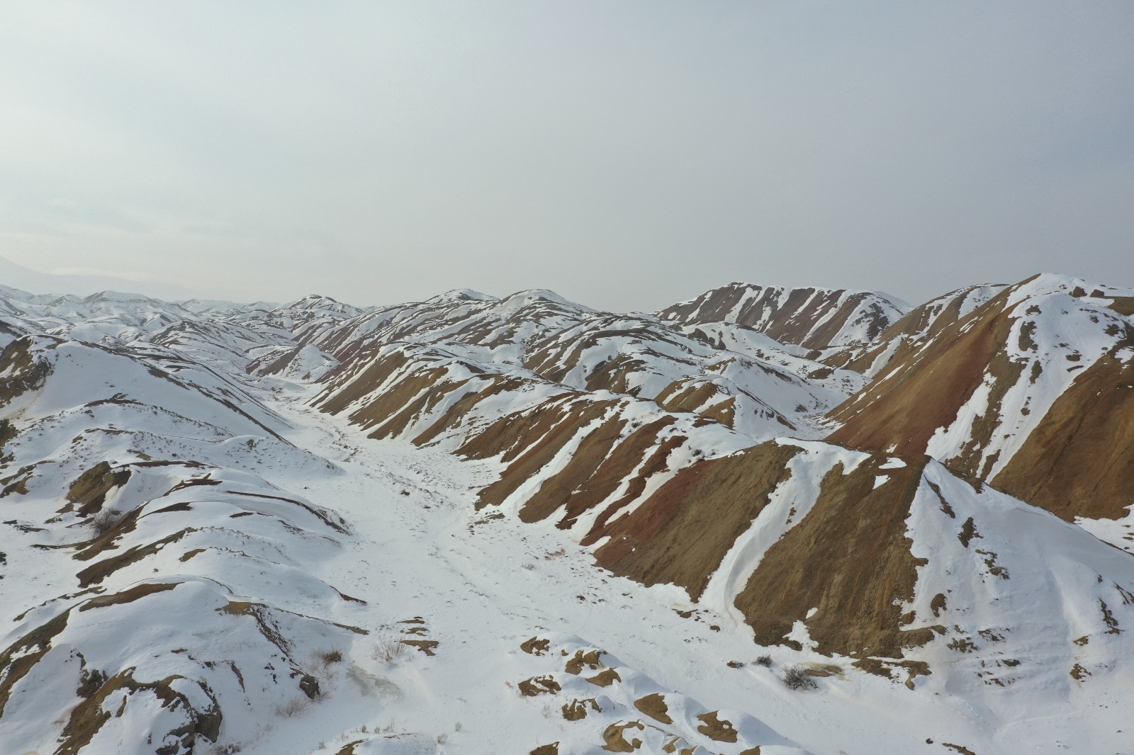 4441A814 8Fa3 480E B4F4 9968Bdec9C15