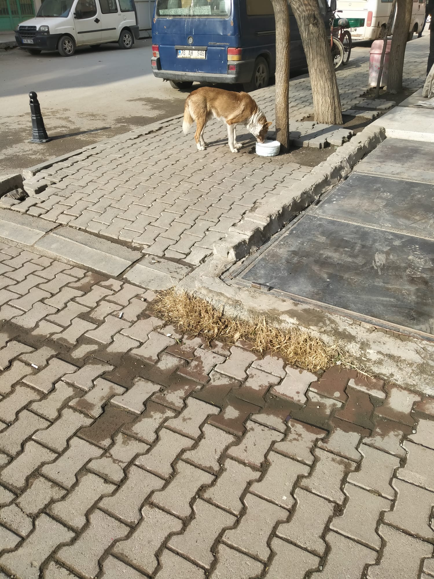 4Dafff11 6485 4C26 9D9F 4654E5B9723C