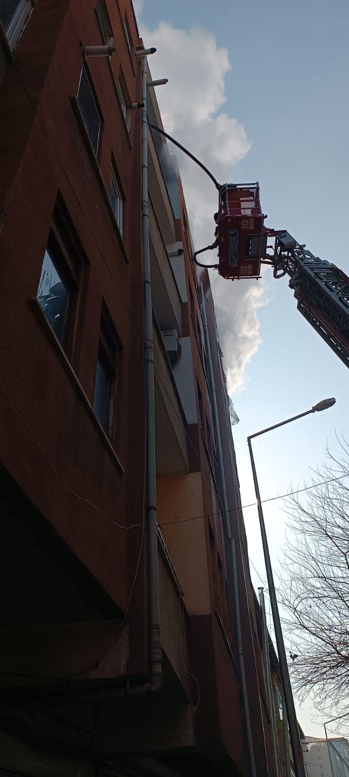 52E442D9 8Cea 4934 9784 D8E91De15Cec