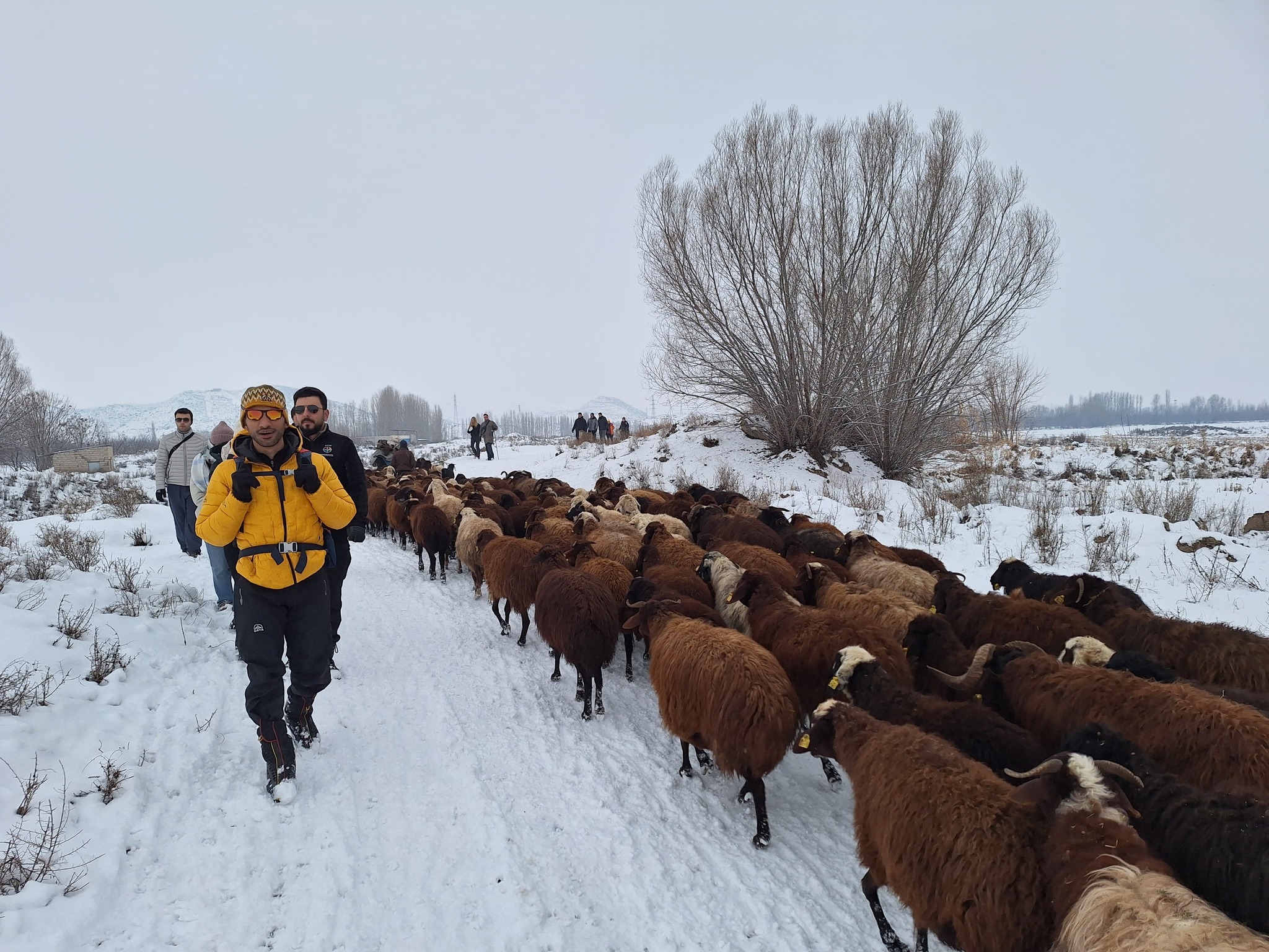 607422692 1998645150704031 4640996255365708192 N