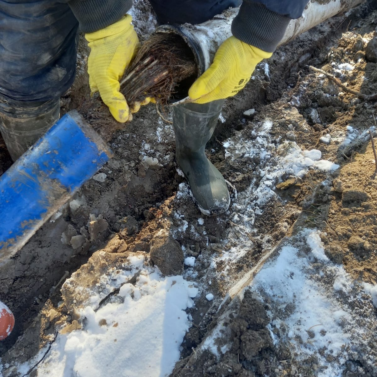 608960473 17924757006198616 861276691387129154 N