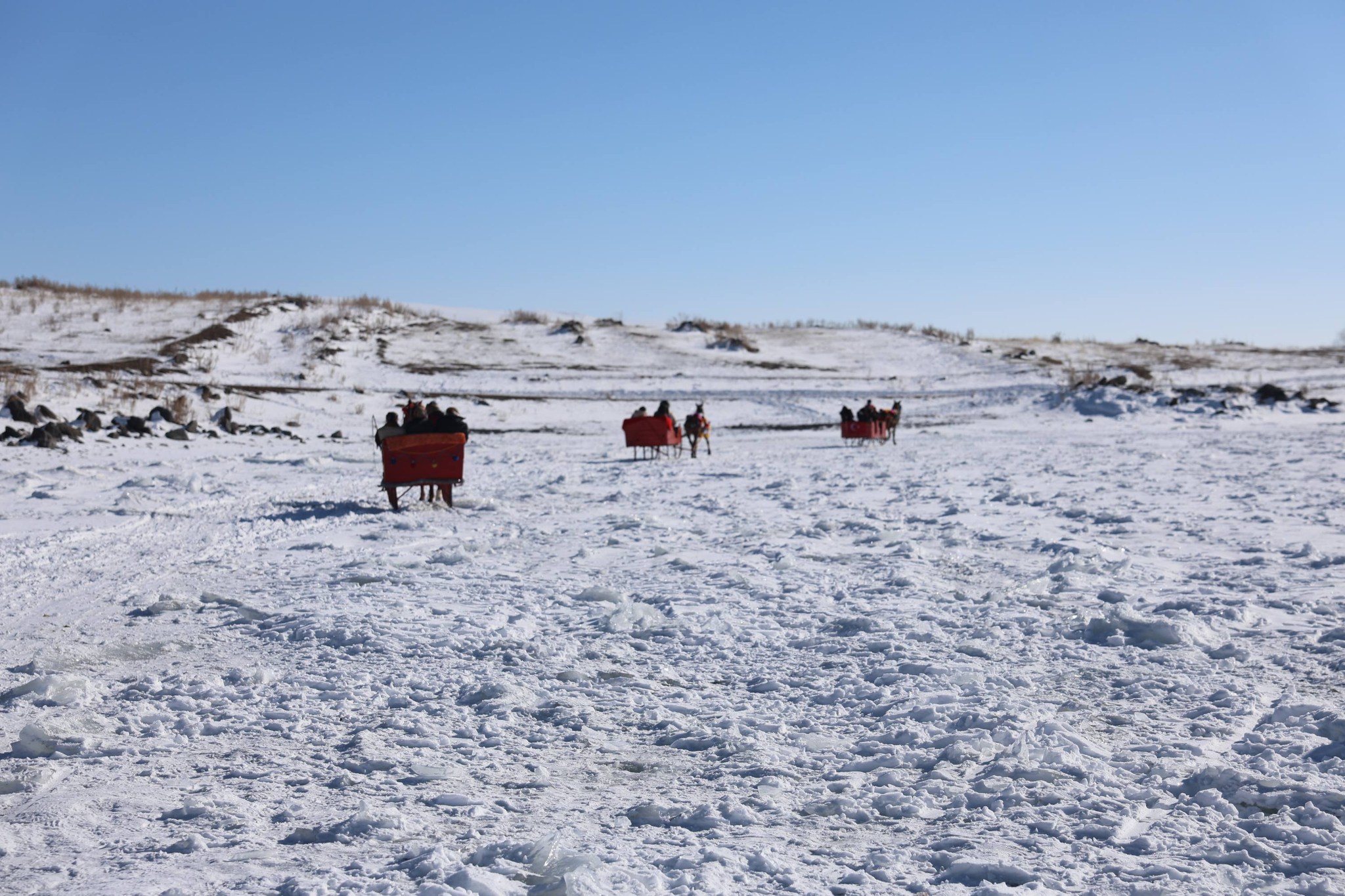 613186119 1189518679995406 5464536933863533798 N