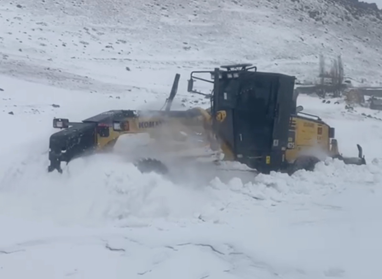 7Ba7231D 4C76 453D 8098 F3265A9505E5