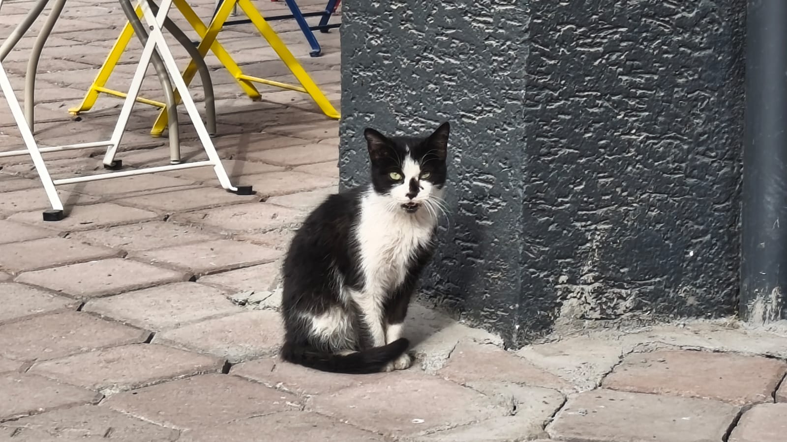 C10Cc775 2C79 42D6 Bdb9 B7A62F9B0Bed