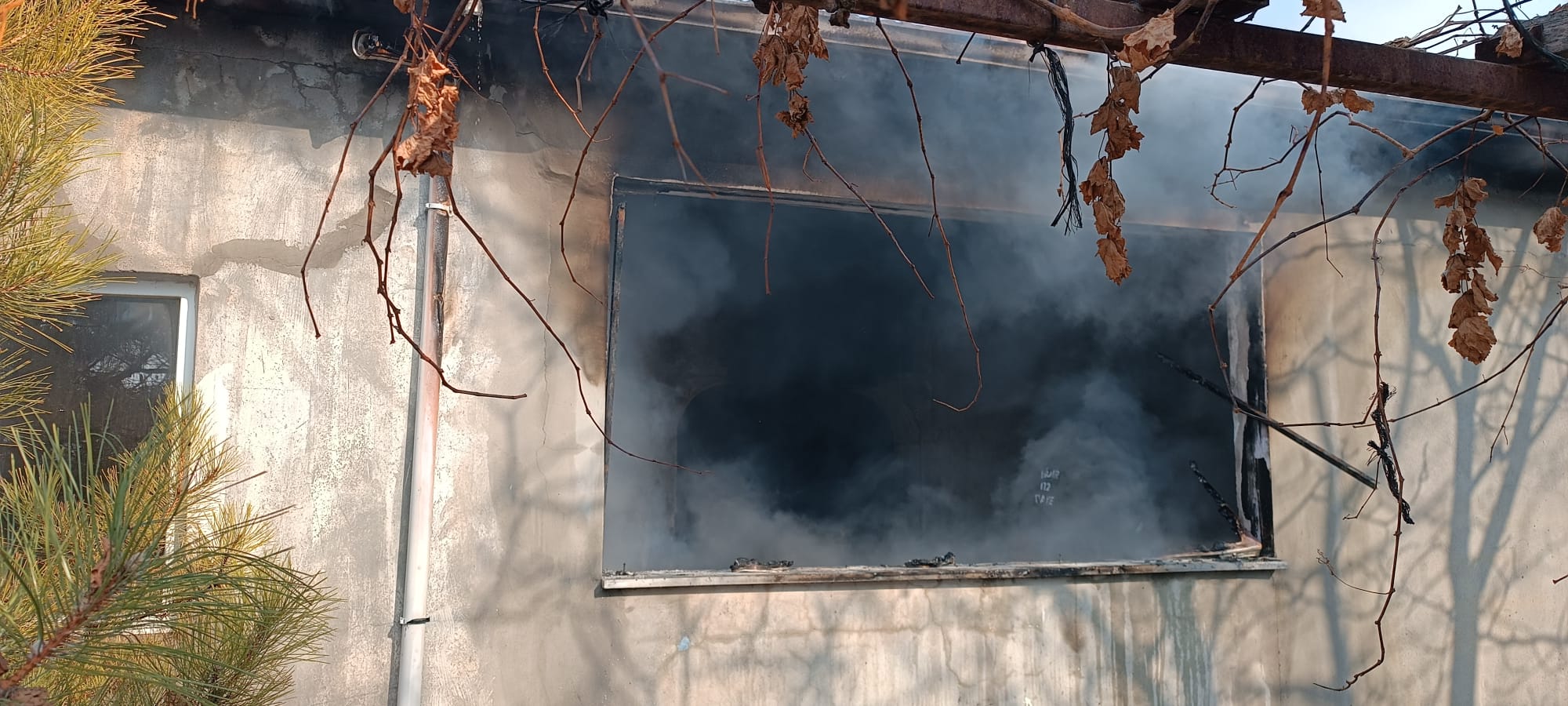 D44760Ea 935F 442C 83E6 46Cf0C30Ae8A