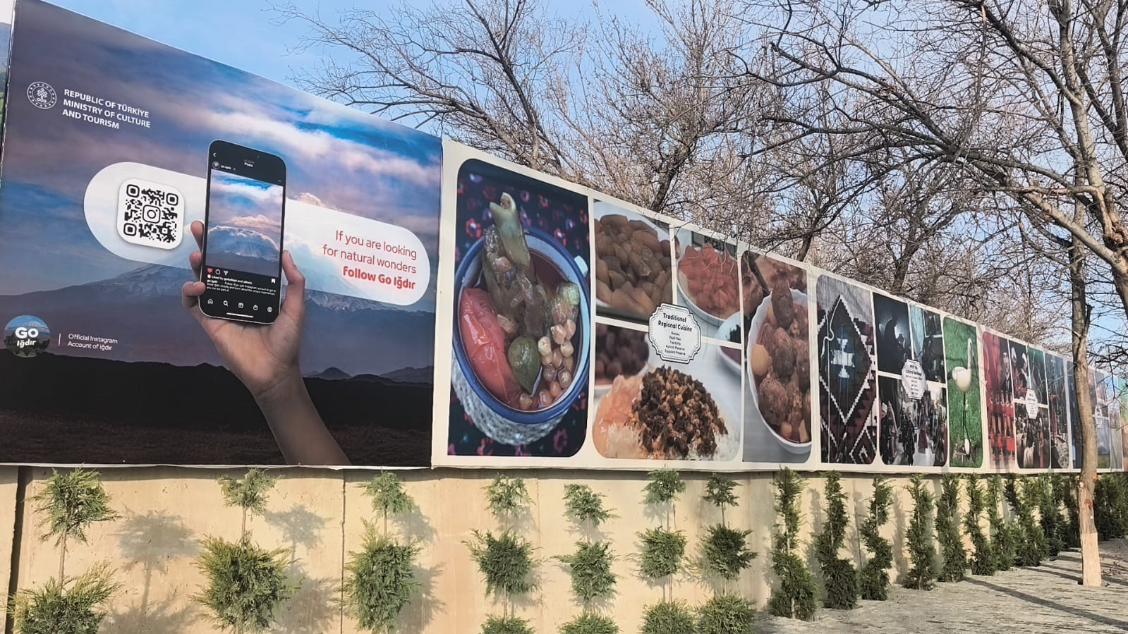 E79Cb08F 6A2E 4E2A 80A1 34A8F6522E0B