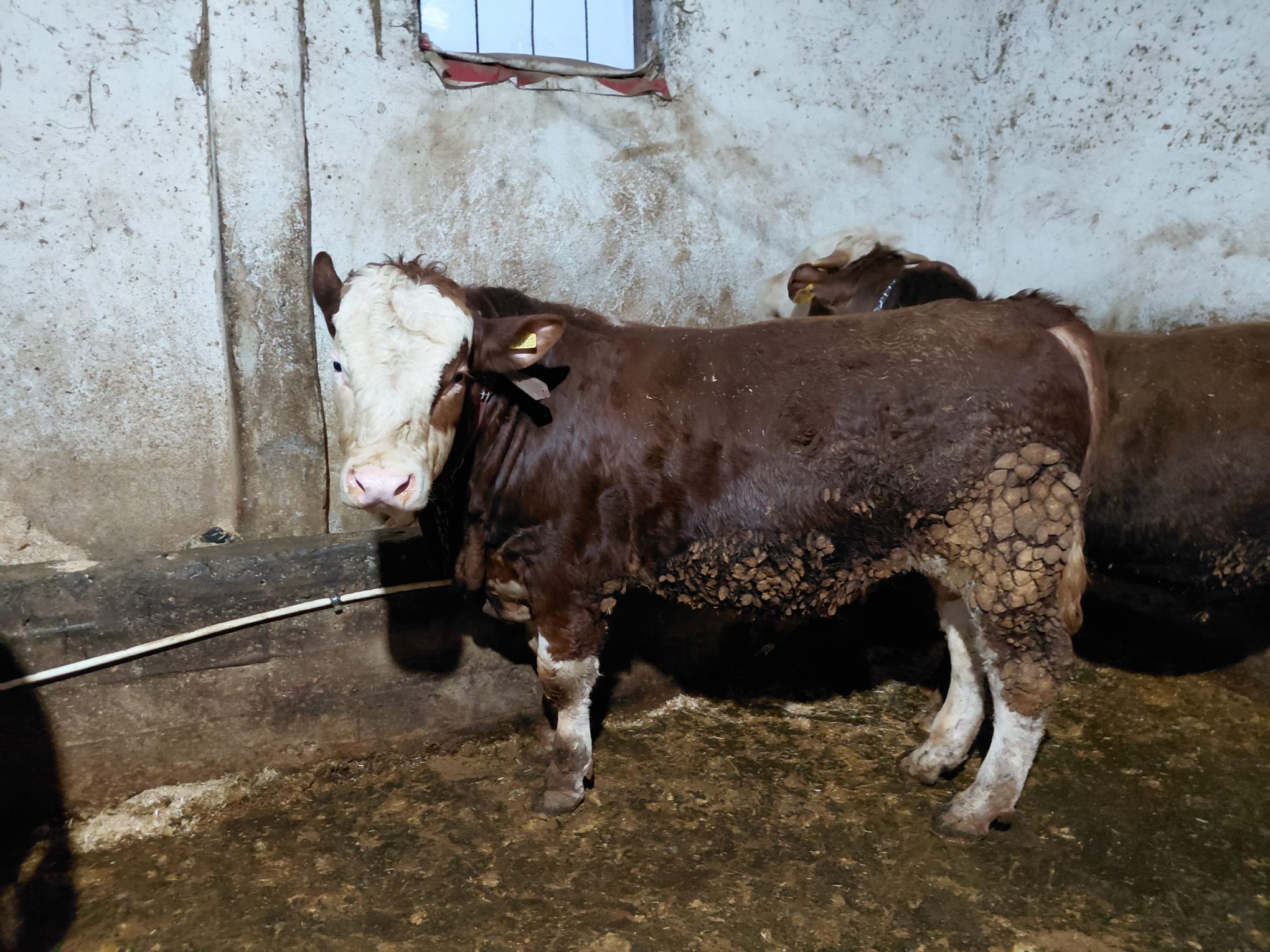 222Ac543 7589 4630 Ae01 F7001494B371