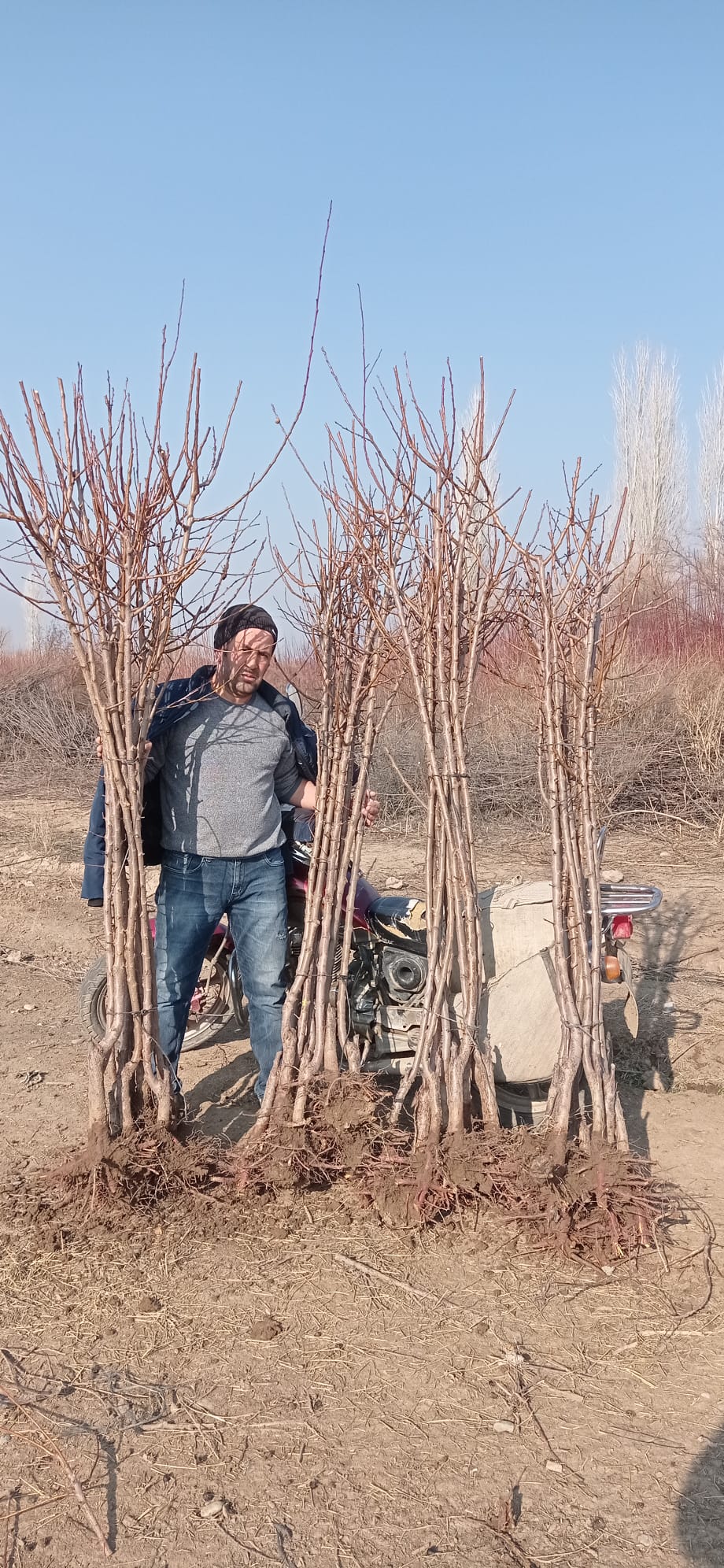 3330Bc51 6D79 4Fc6 B541 42Fe1C41Ae7A