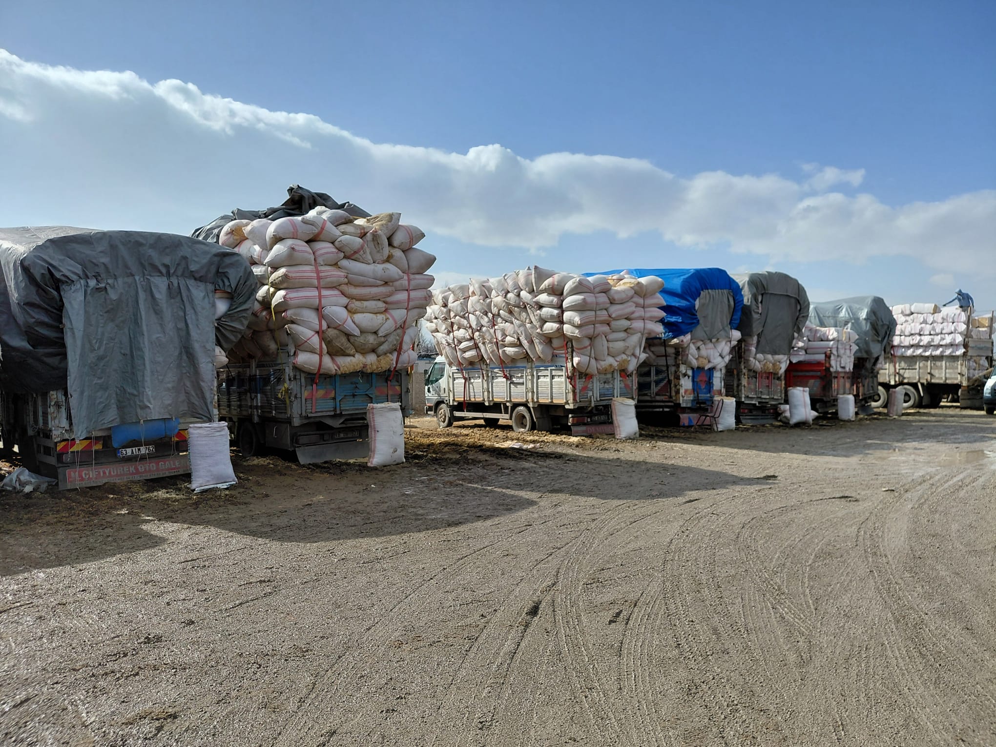 34E17494 6C29 48Ff Ab86 15A5Ed0171D6