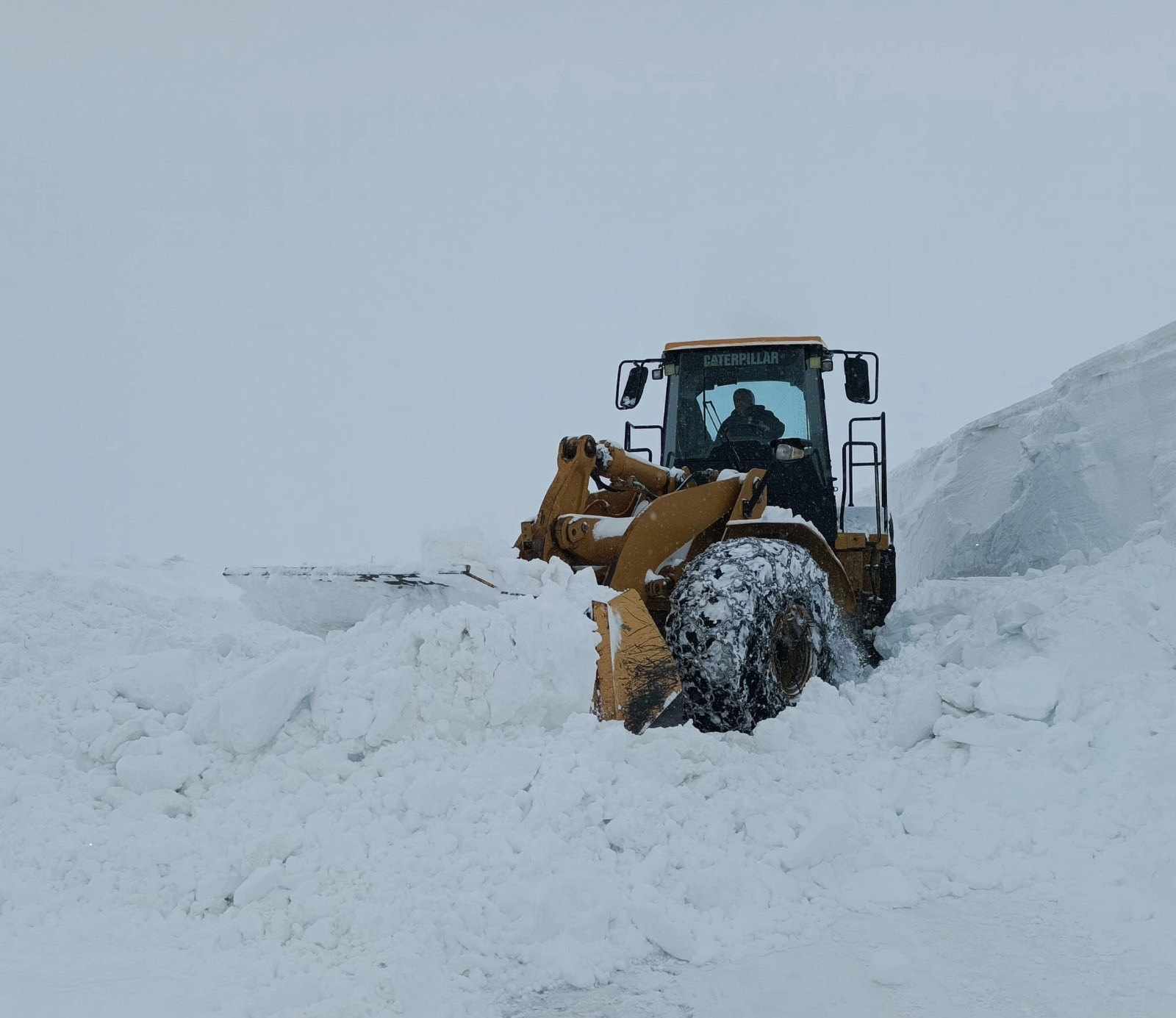 5B685E64 8D51 4C1F Bfc9 C6457636Dca8