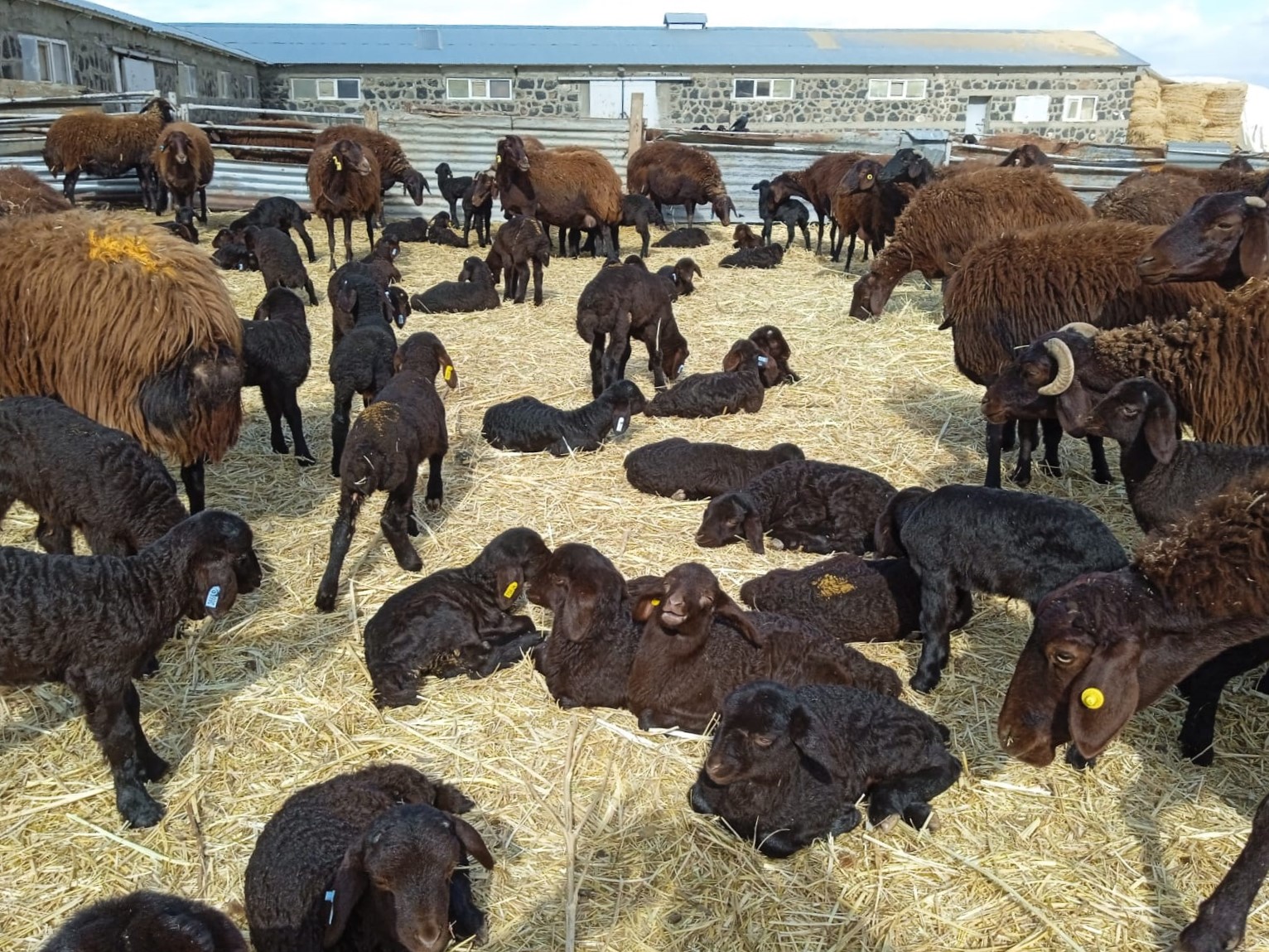 7D2Cdd46 6F46 400E 921A 96Ac02Cad636