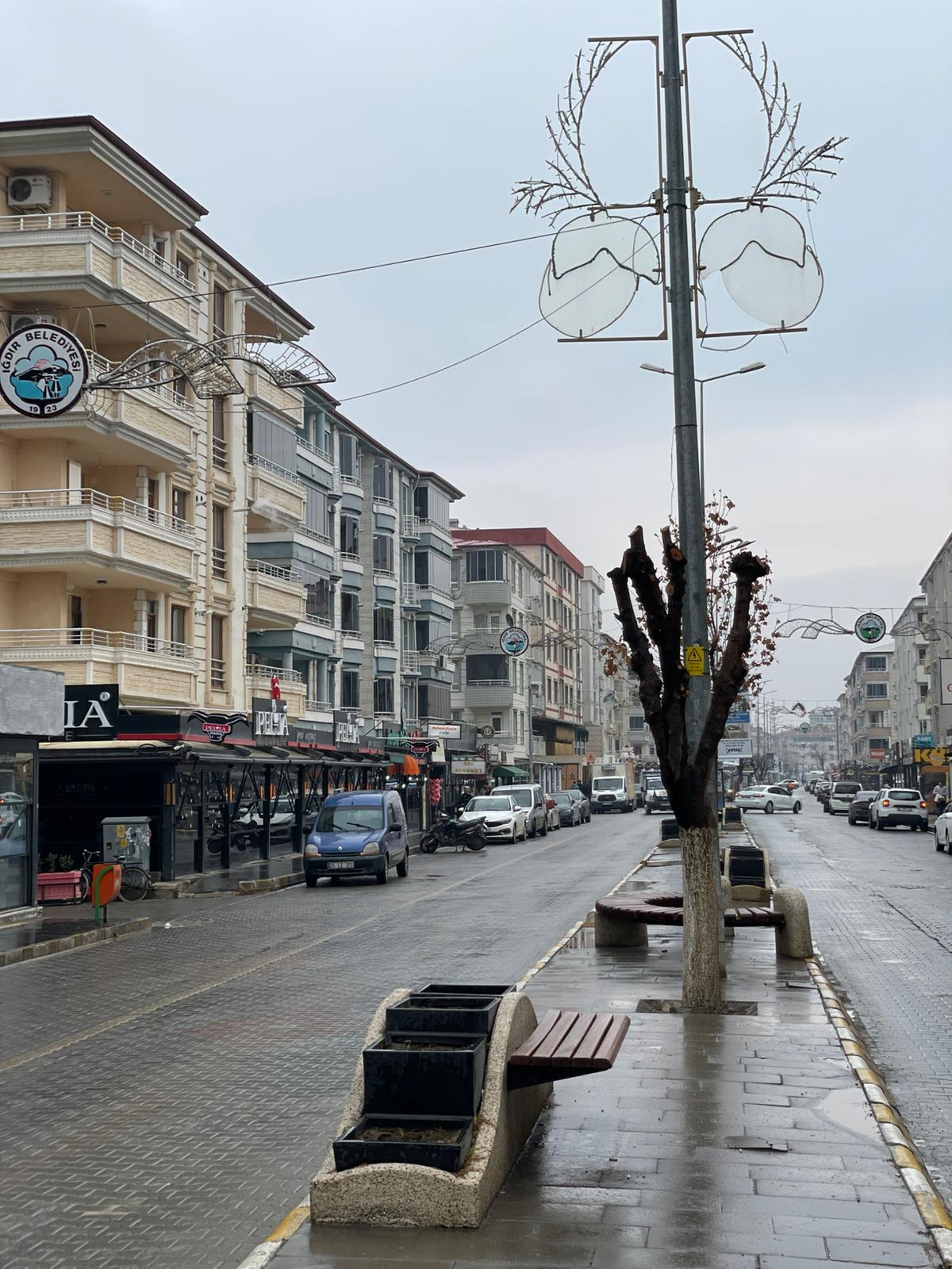 Whatsapp Image 2026 02 09 At 12.30.11 (1)