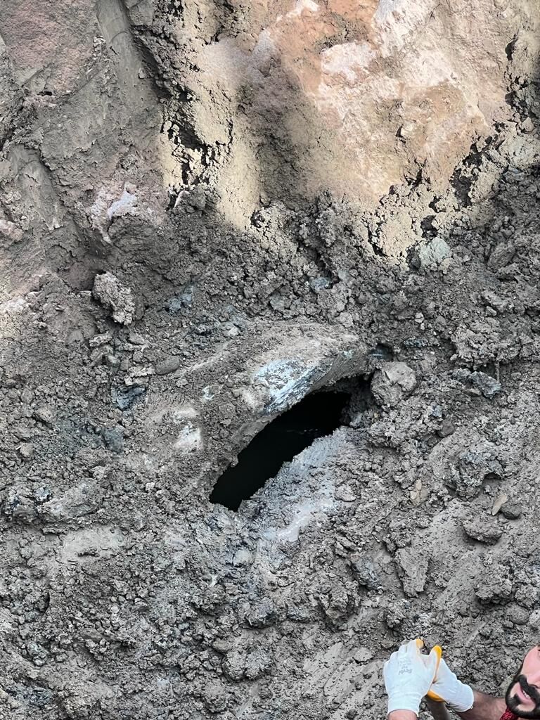 072F94C2 92A2 4D1E A64F E429E6C7618B