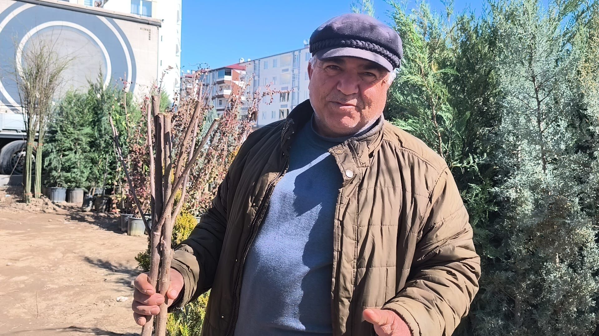 099821F1 2060 48C6 Abb7 3E66Cb6Dd932