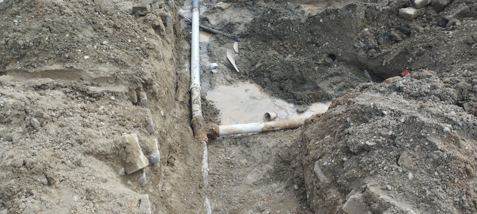 14Fd45Ef Cf62 4C90 92F4 02C1E5Ac5Df1