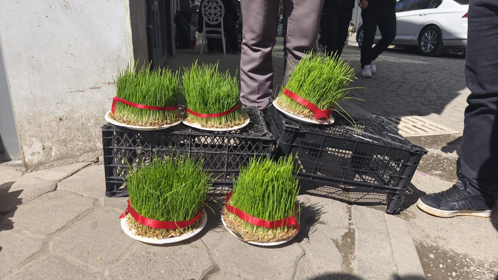 1518F901 E704 4C0A Af84 Bfe708841C97