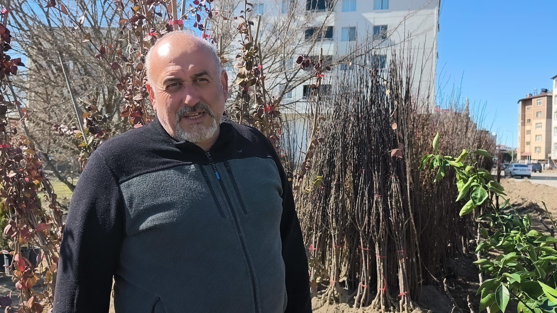 196Add79 A1F1 42Ef 922B 44B33A2Ad3Db