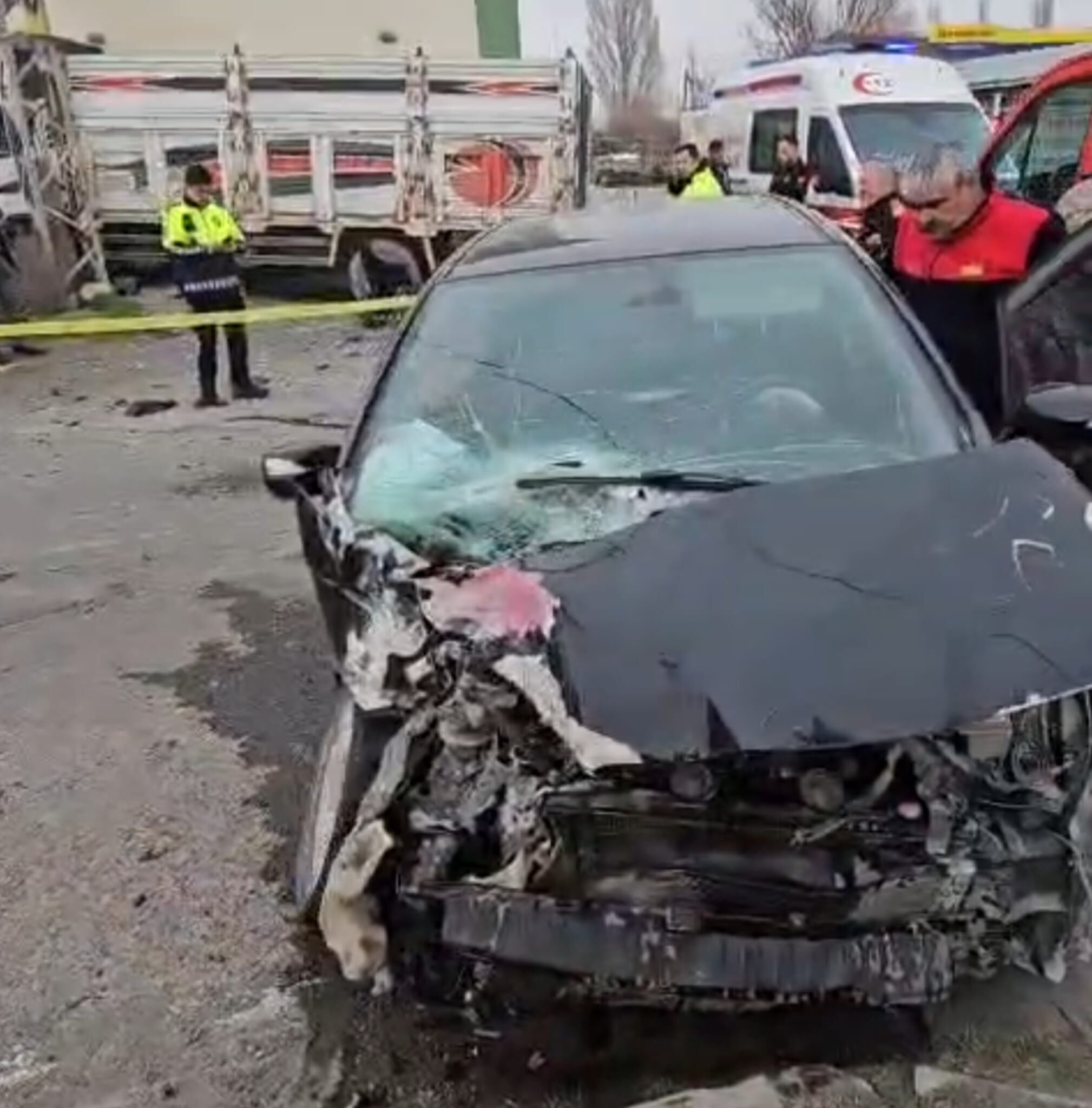 1B00519E 7C2F 4Df3 9Fc2 483C757968D3-1