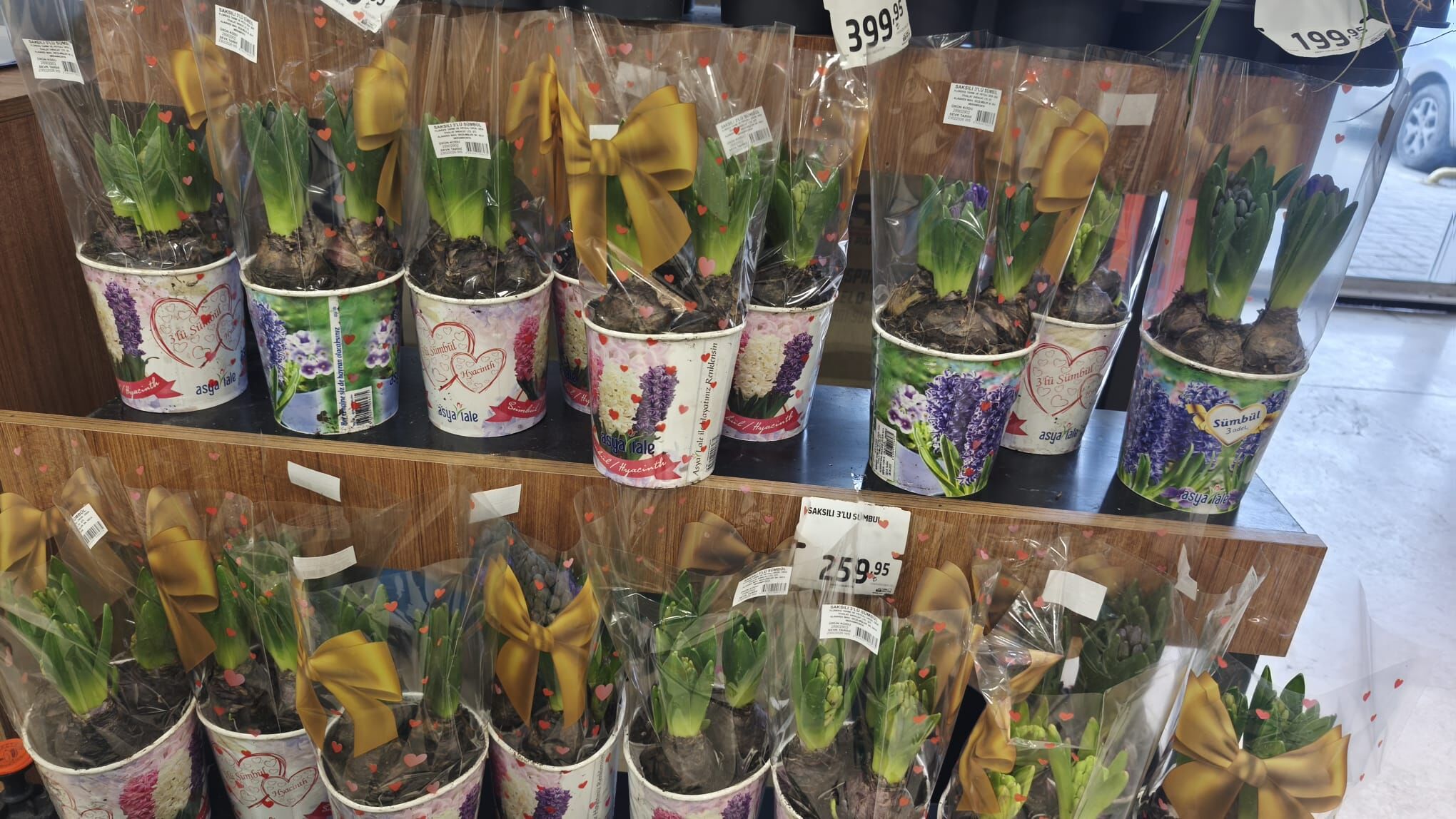 2Bab7D8B Dad7 4F3B 899A Ddeeef4E65Af