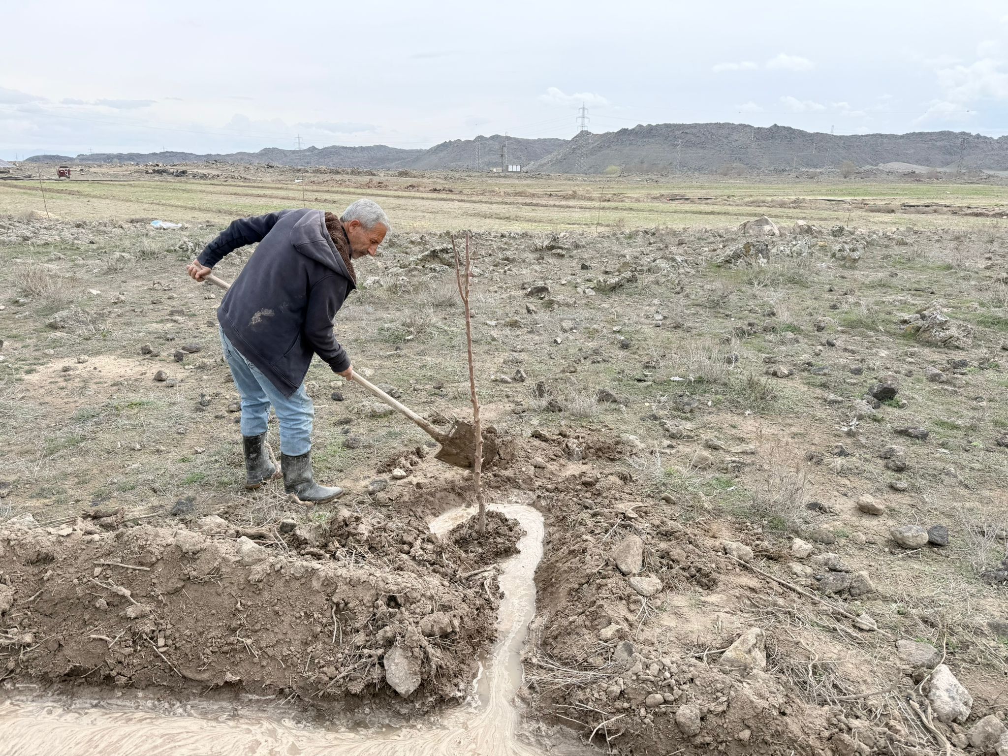 3Da9A1B5 Da90 4713 8204 505479E01629