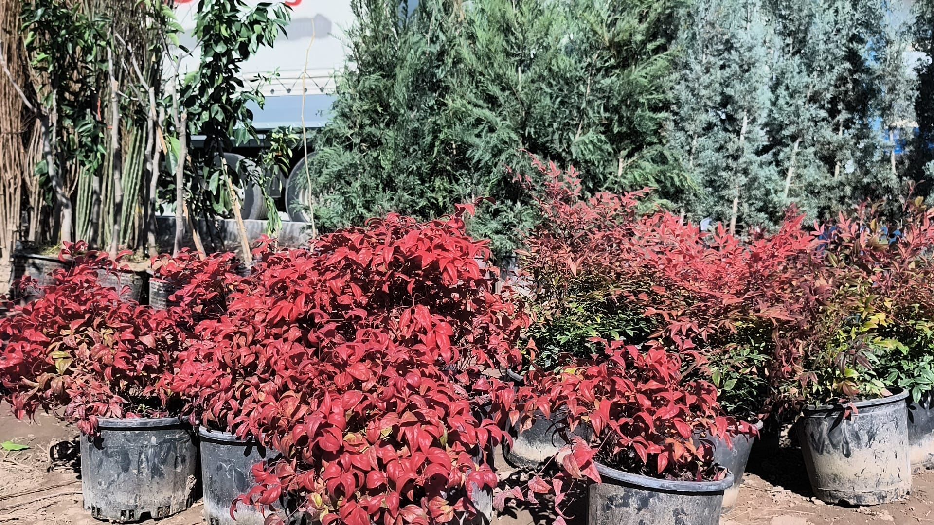 46C024Fd 2F10 4985 89E9 795Aa2961976