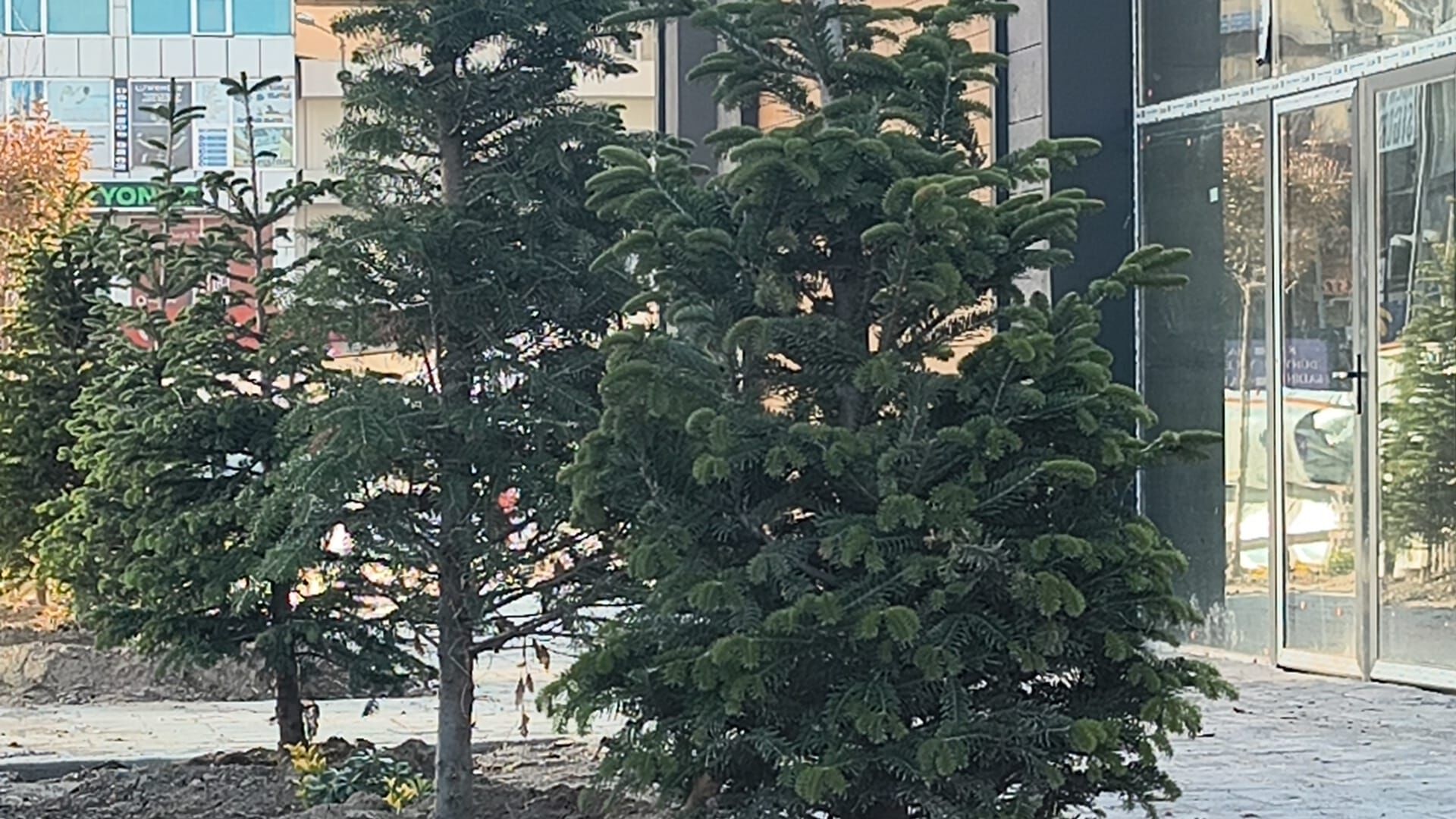 5B62A9D0 0959 4F4C Bed8 8Ef7541E108E