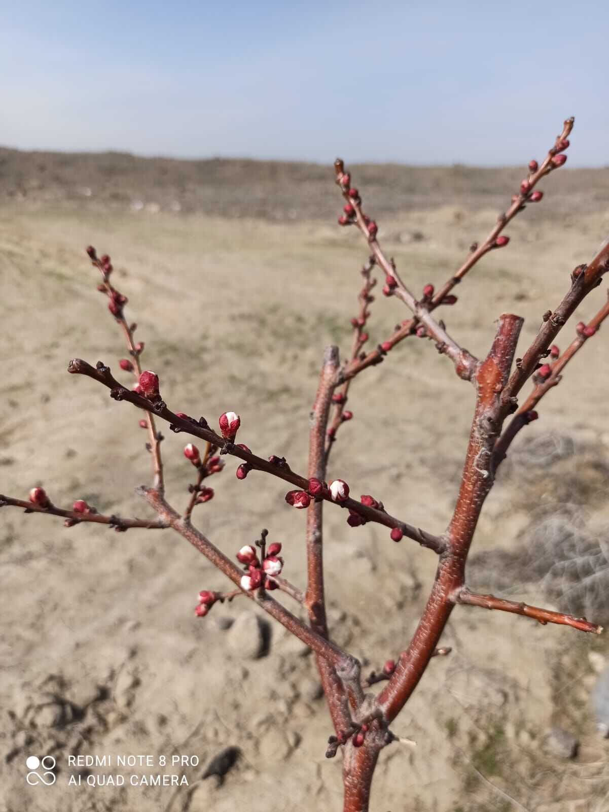 5Ef9490E 8A58 45C5 B5Fd F99F3C256304