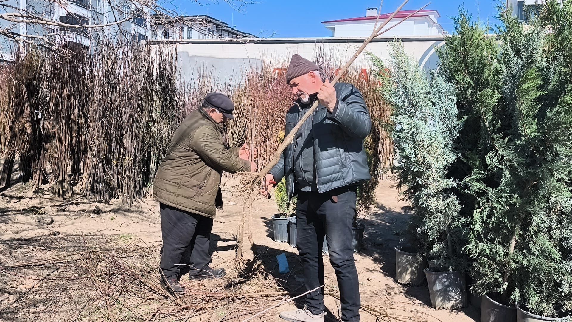 61Cf756B 79Fb 42F5 9Bda Ddcec2613808