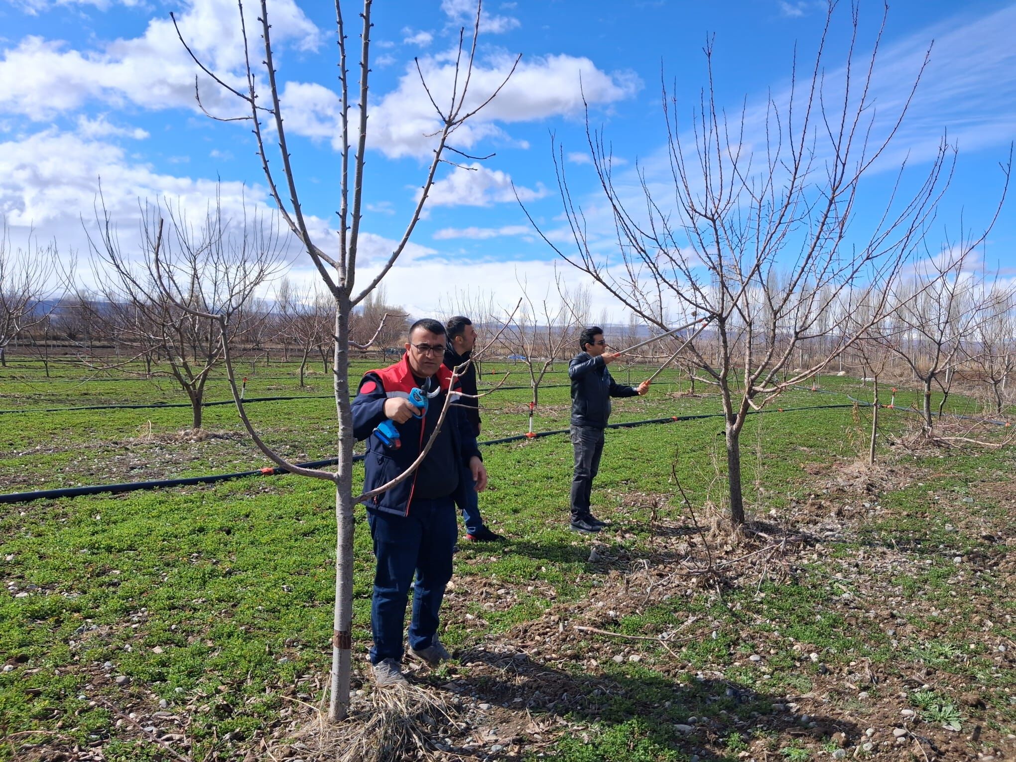 648828012 2180268296075225 4432162642032797871 N