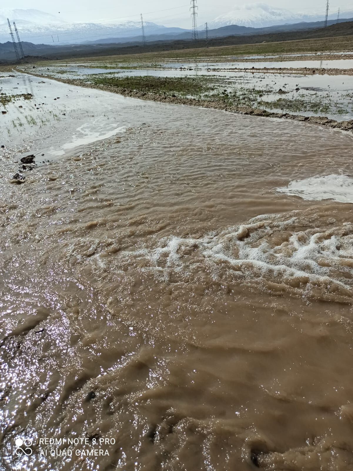 7C4A844D 2708 44E6 B330 2438F232030E