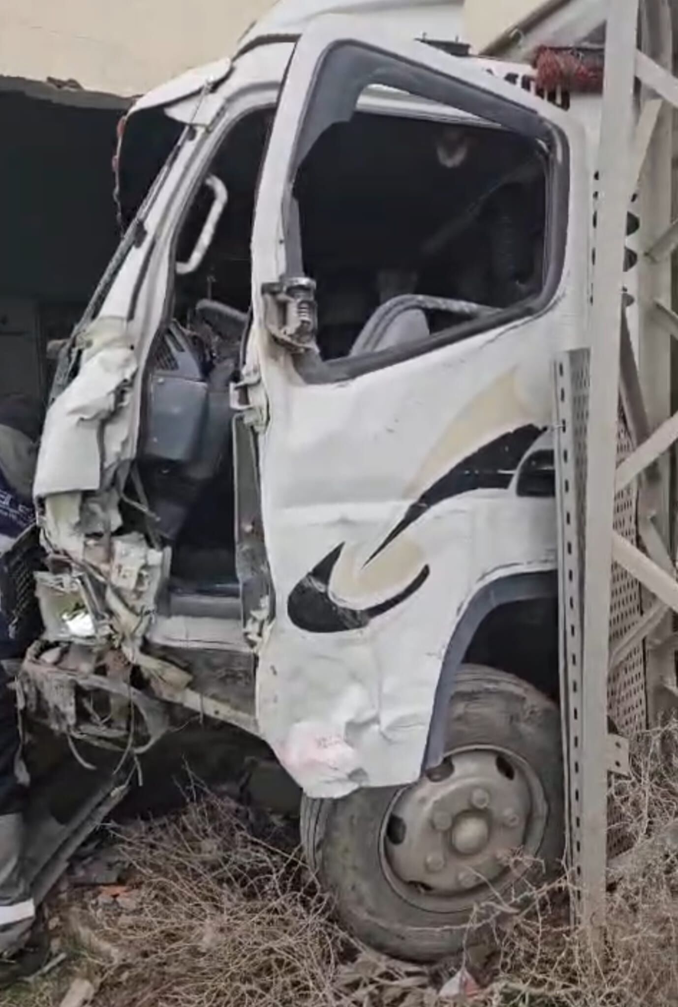 887D8157 1462 41Ab A428 6E50C4D113D3