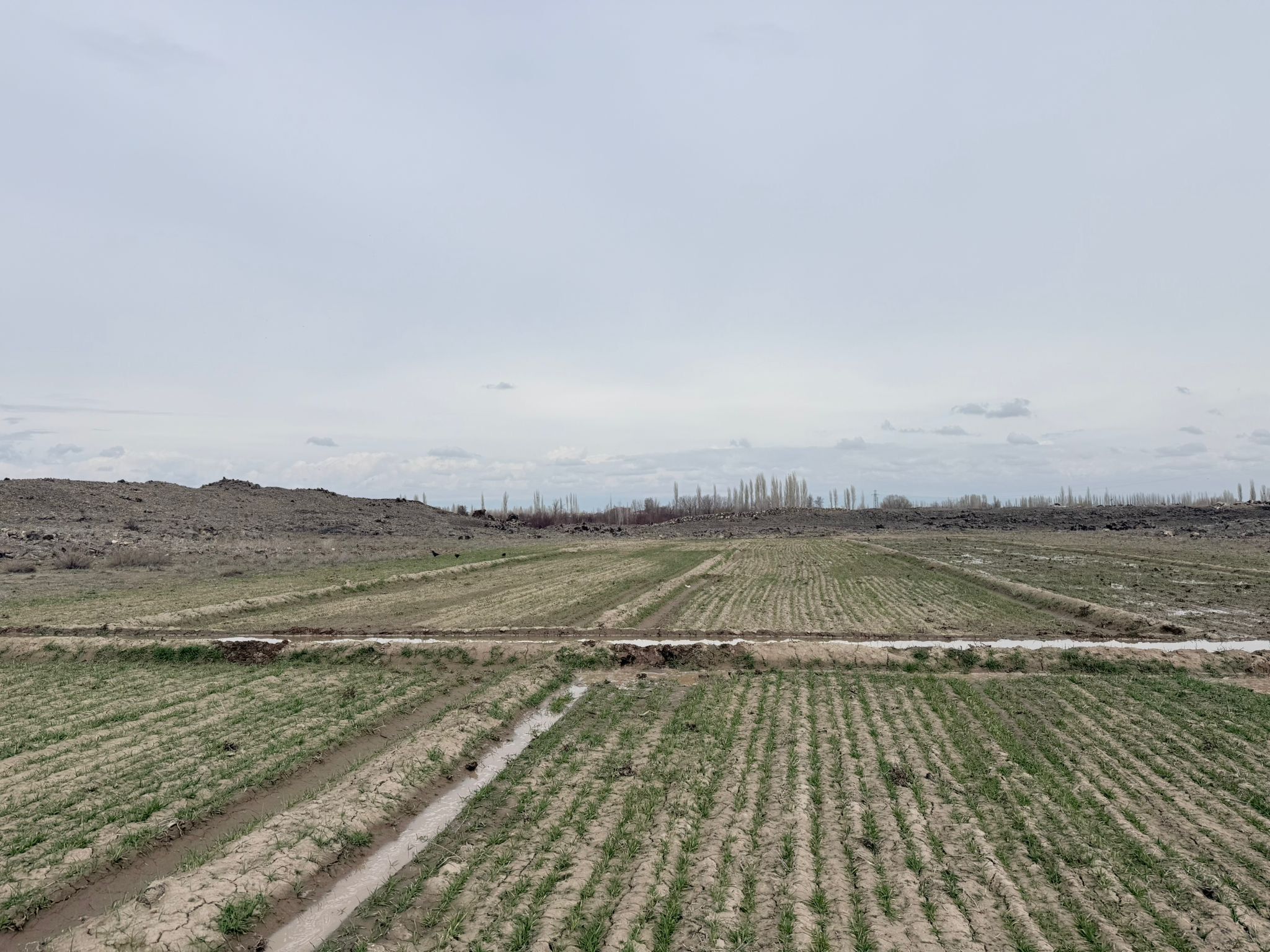 Ade26E60 729A 4258 9719 9Fb36D3D4653