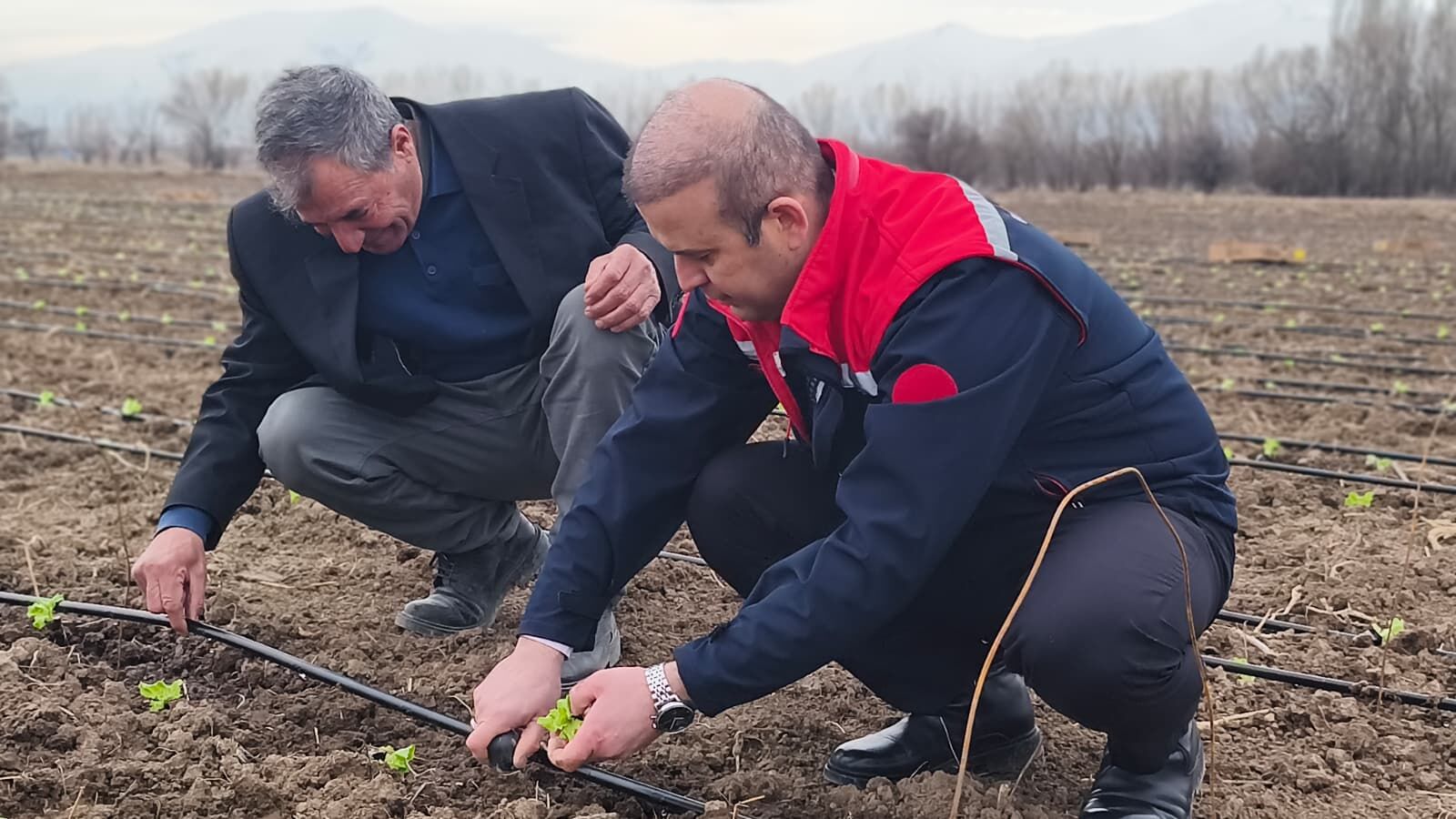 Af2Fd70E 13Ab 45F6 B880 C4B3E700B1Da