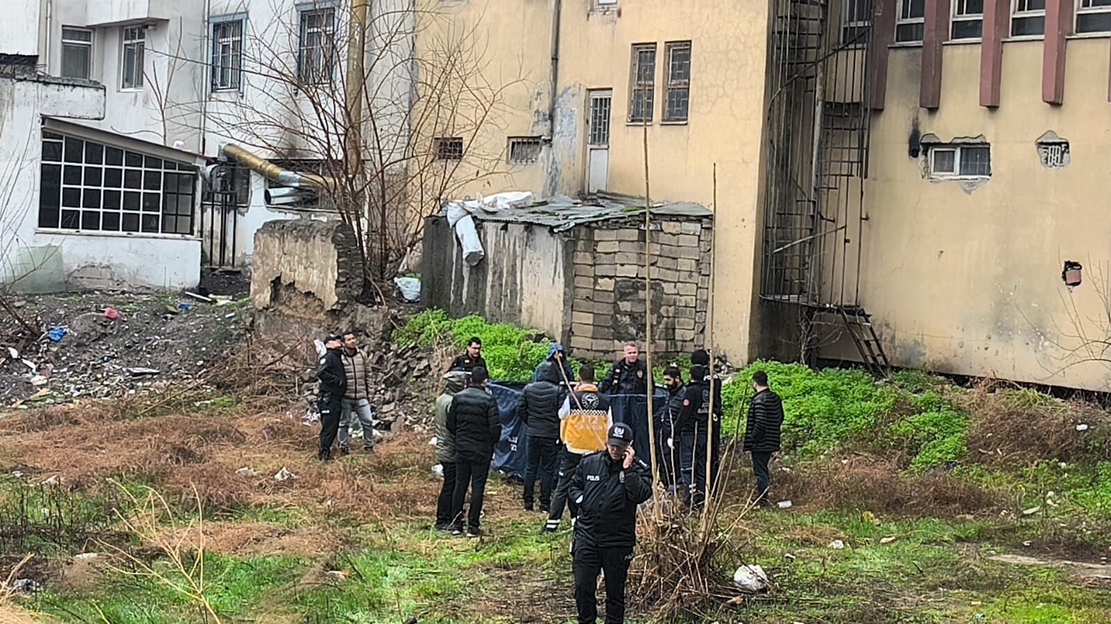 B1B88788 4B25 436D 8A5D D2De484Ba166